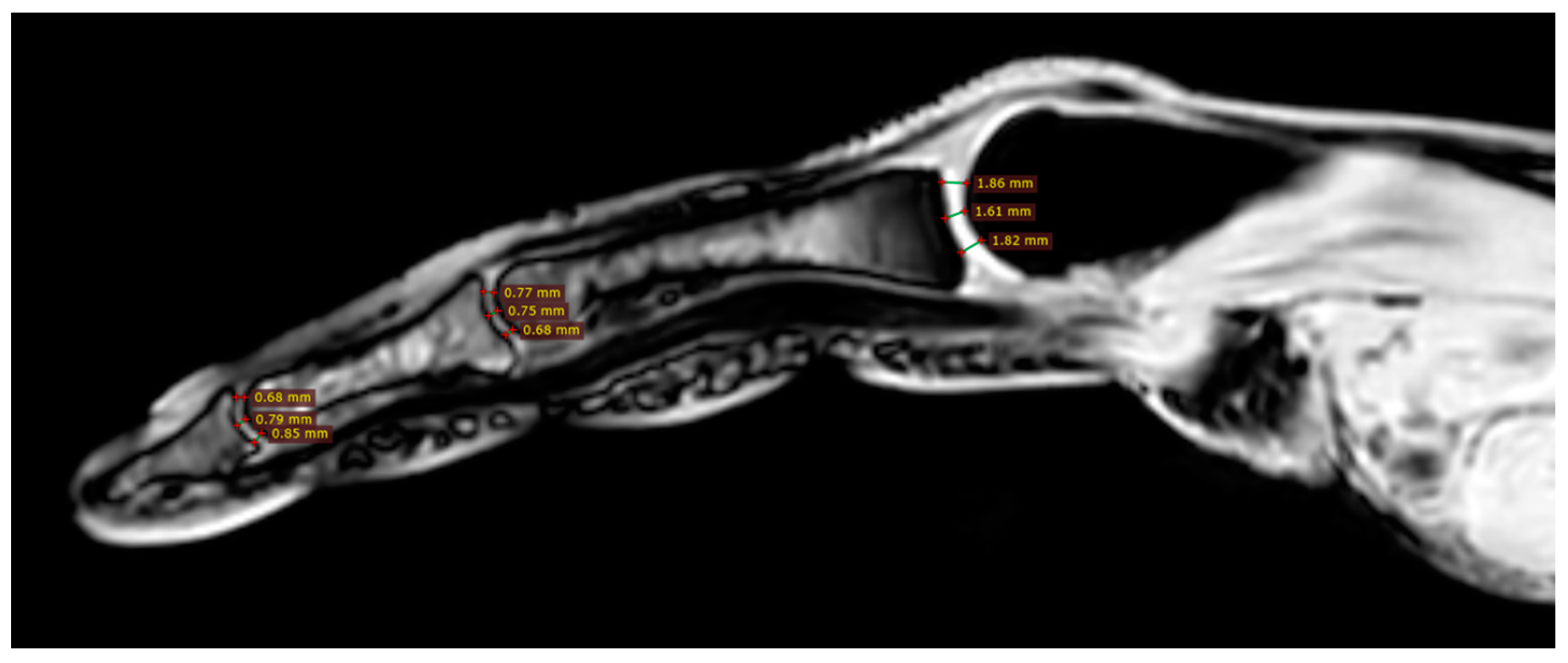 Jcm 12 07247 g004 Jcm 12 07247 g004