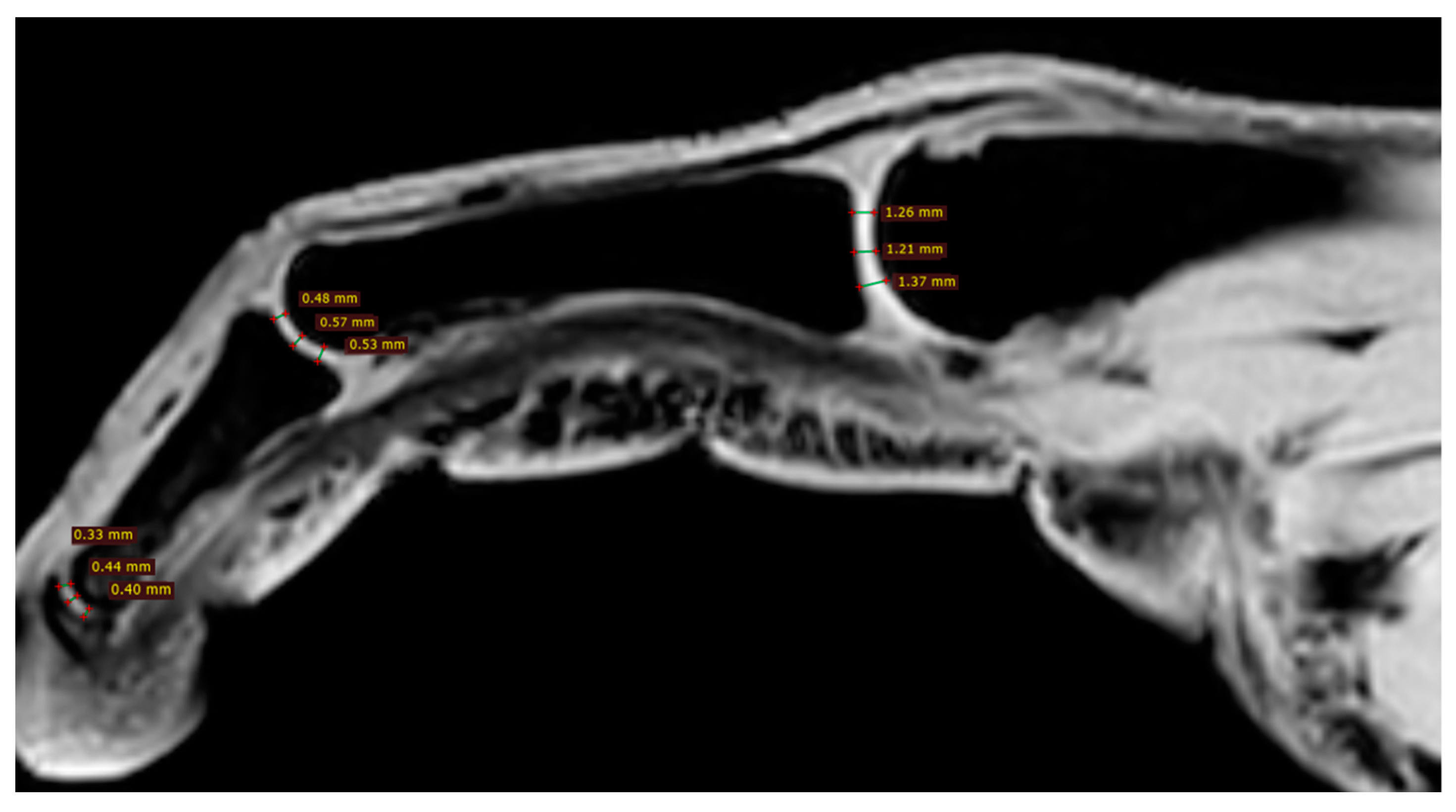 Jcm 12 07247 g005 Jcm 12 07247 g005