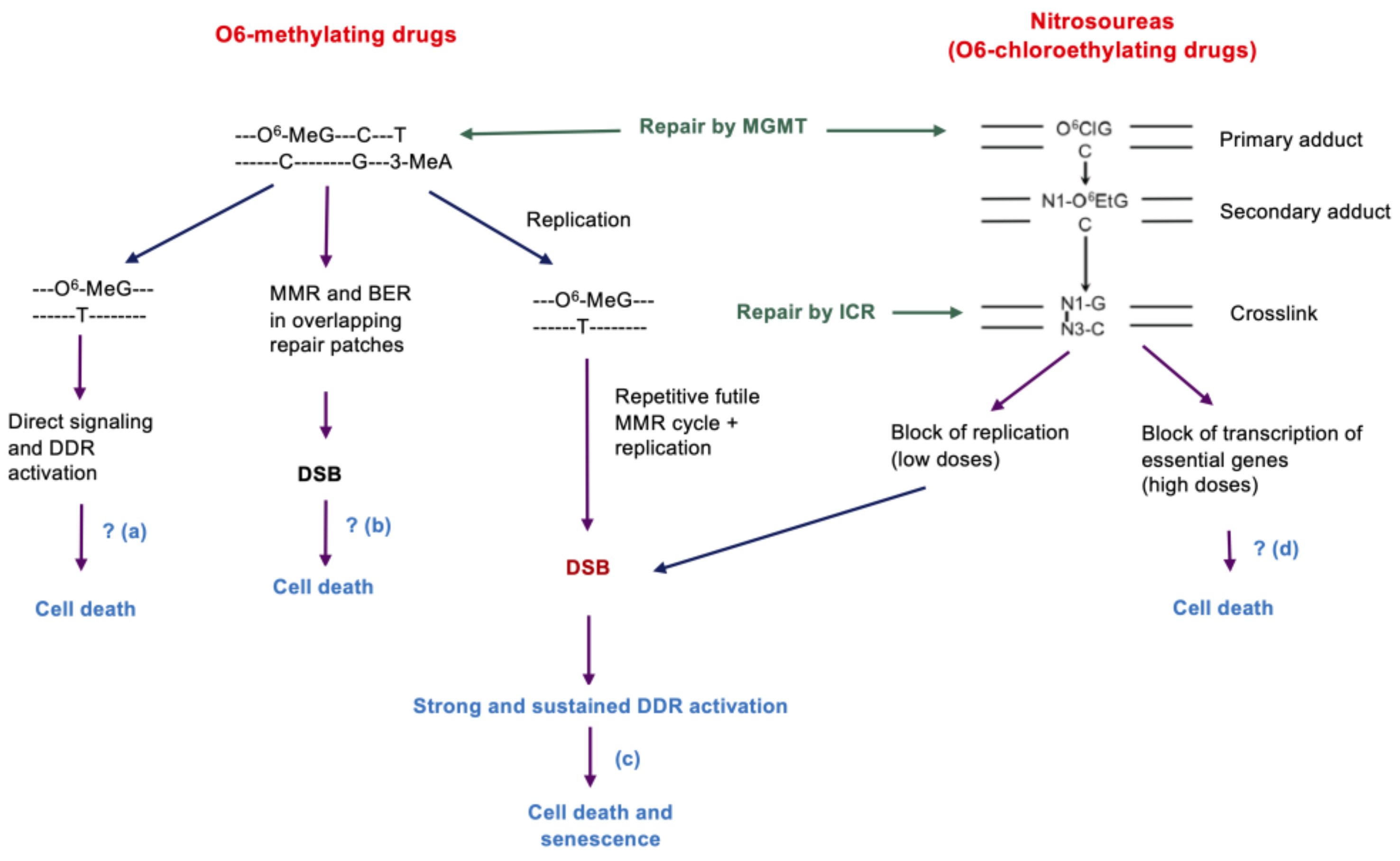 Jcm 12 07442 g001 Jcm 12 07442 g001