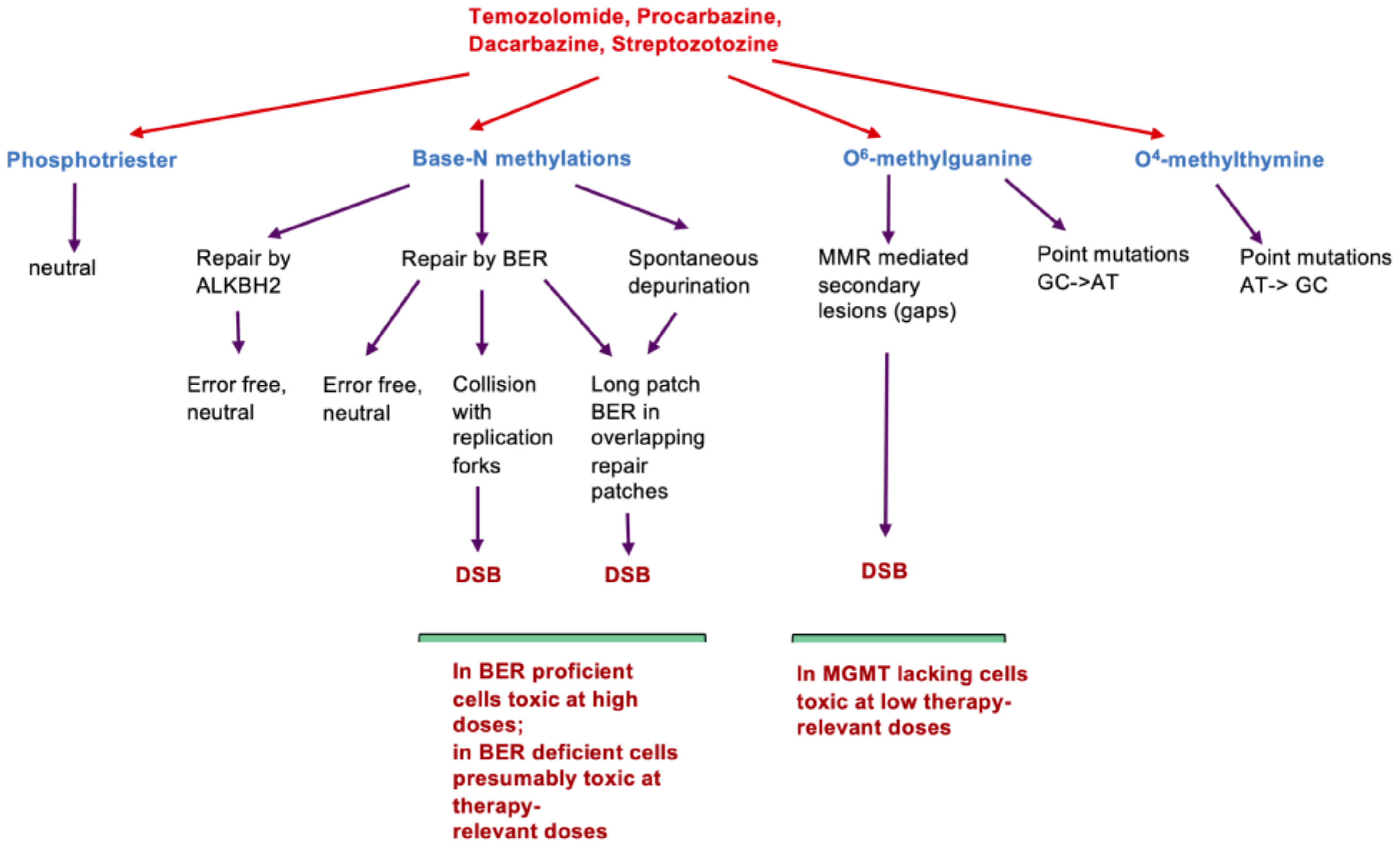 Jcm 12 07442 g002 Jcm 12 07442 g002