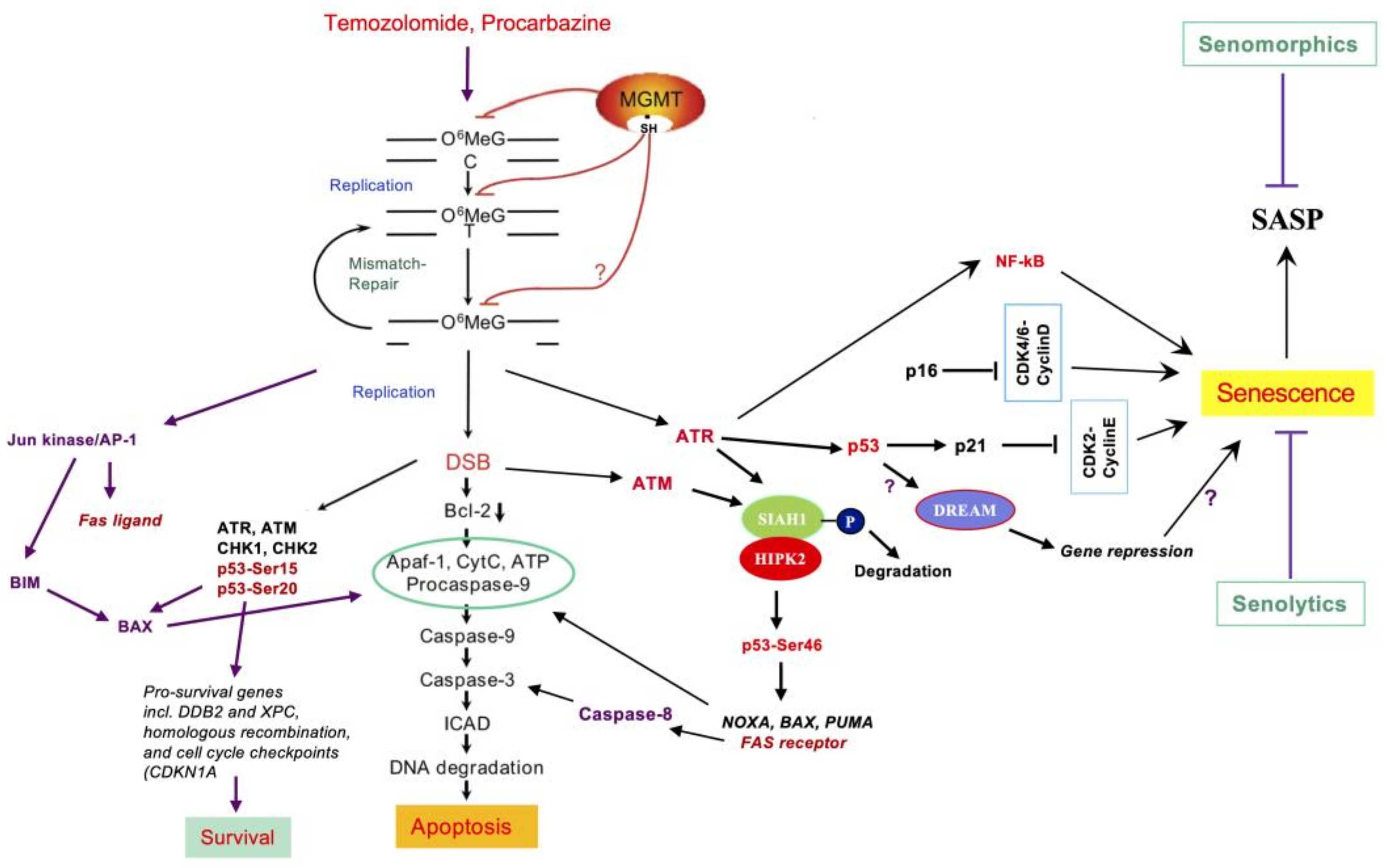 Jcm 12 07442 g003 Jcm 12 07442 g003