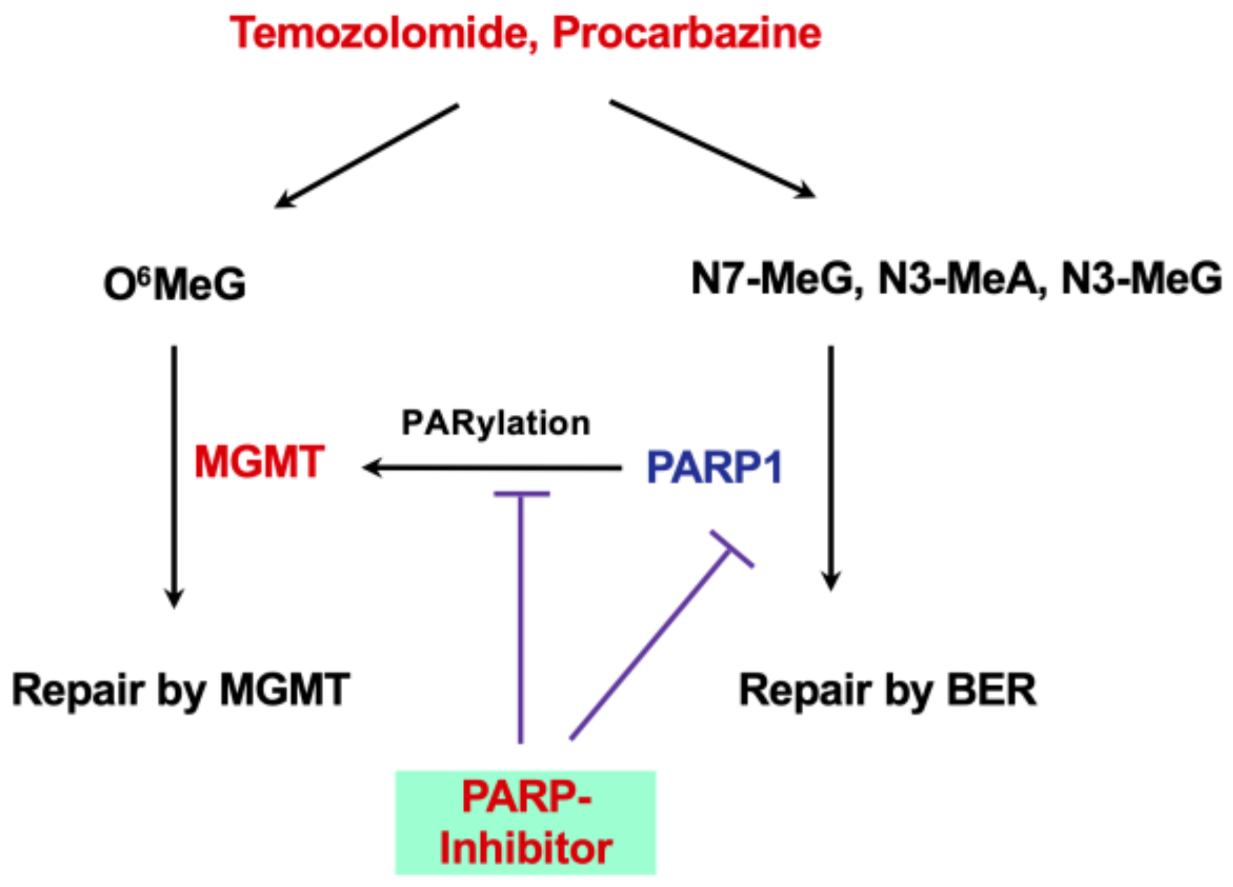 Jcm 12 07442 g005 Jcm 12 07442 g005