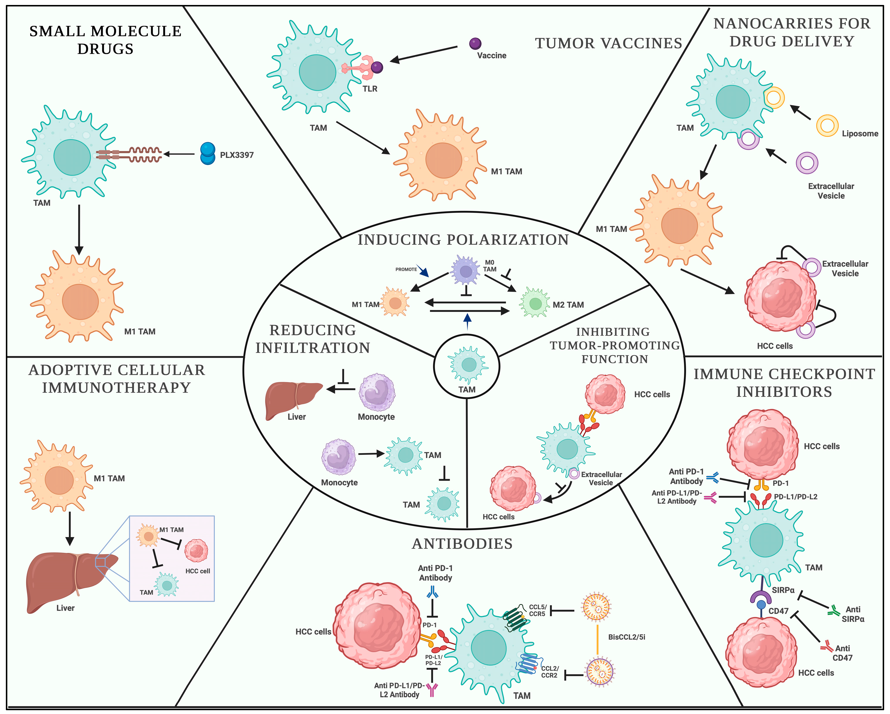 The Complexity of the Tumor Microenvironment in Hepatocellular ...