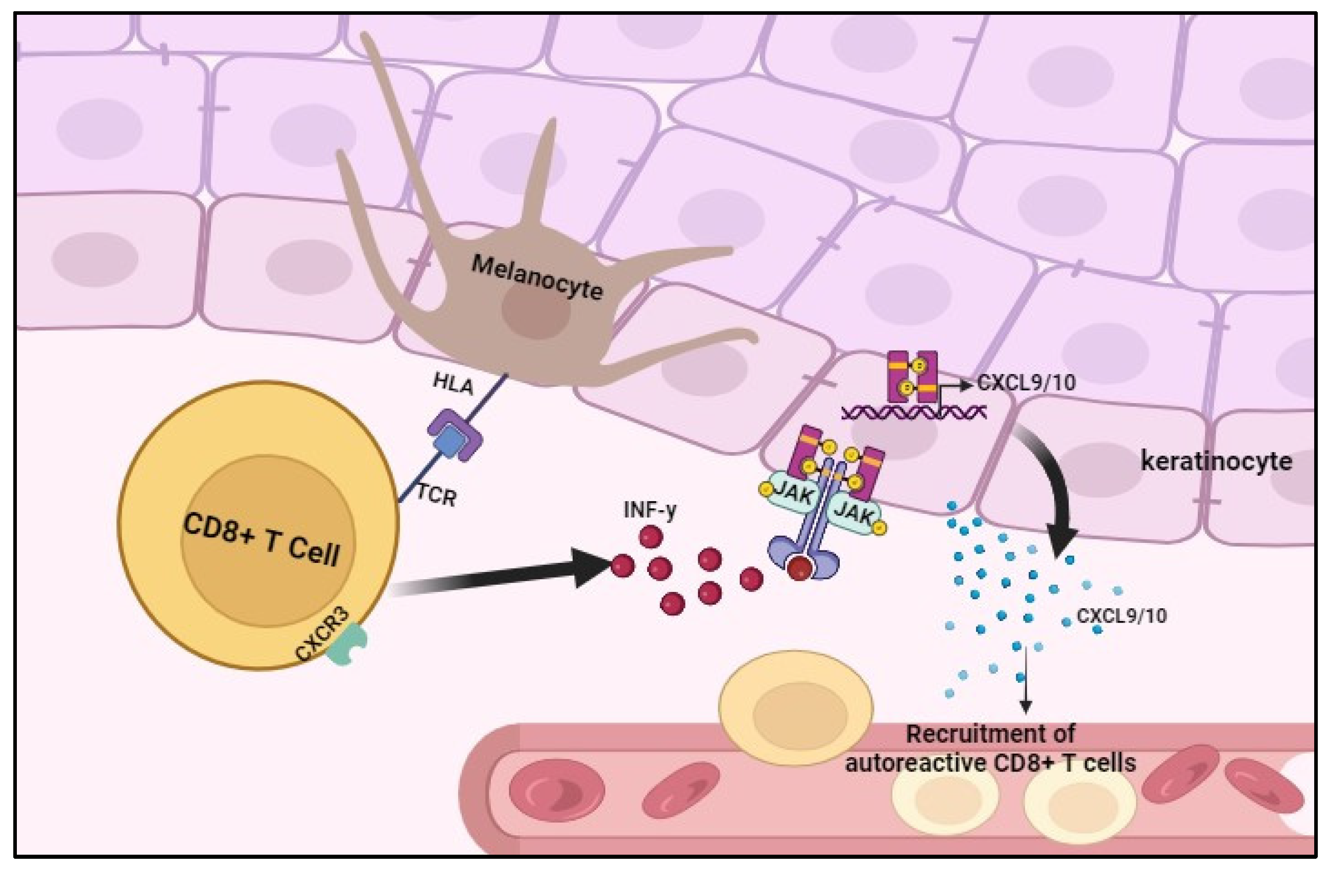 Jcm 12 07486 g001 Jcm 12 07486 g001