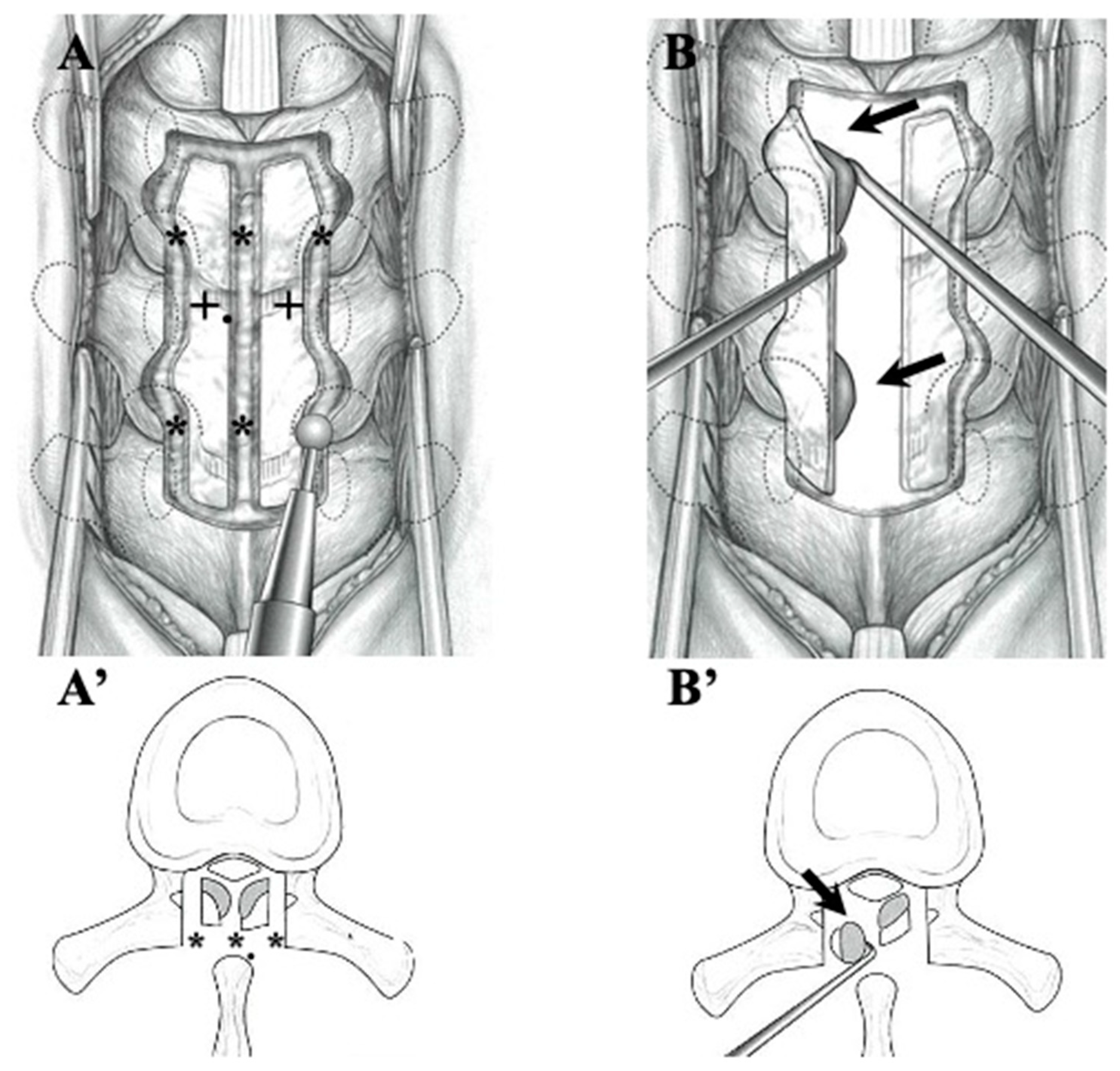 Jcm 13 00105 g002 Jcm 13 00105 g002