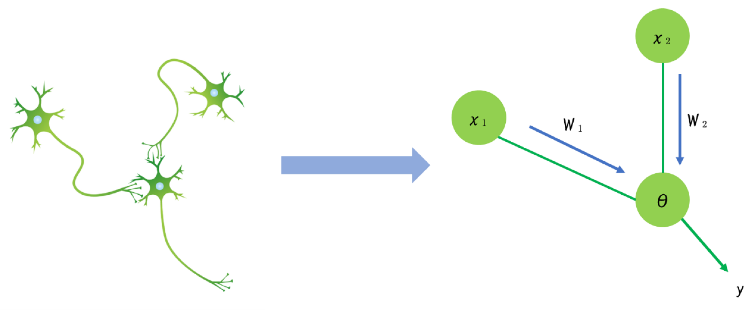 Jcm 13 00253 g001 Jcm 13 00253 g001