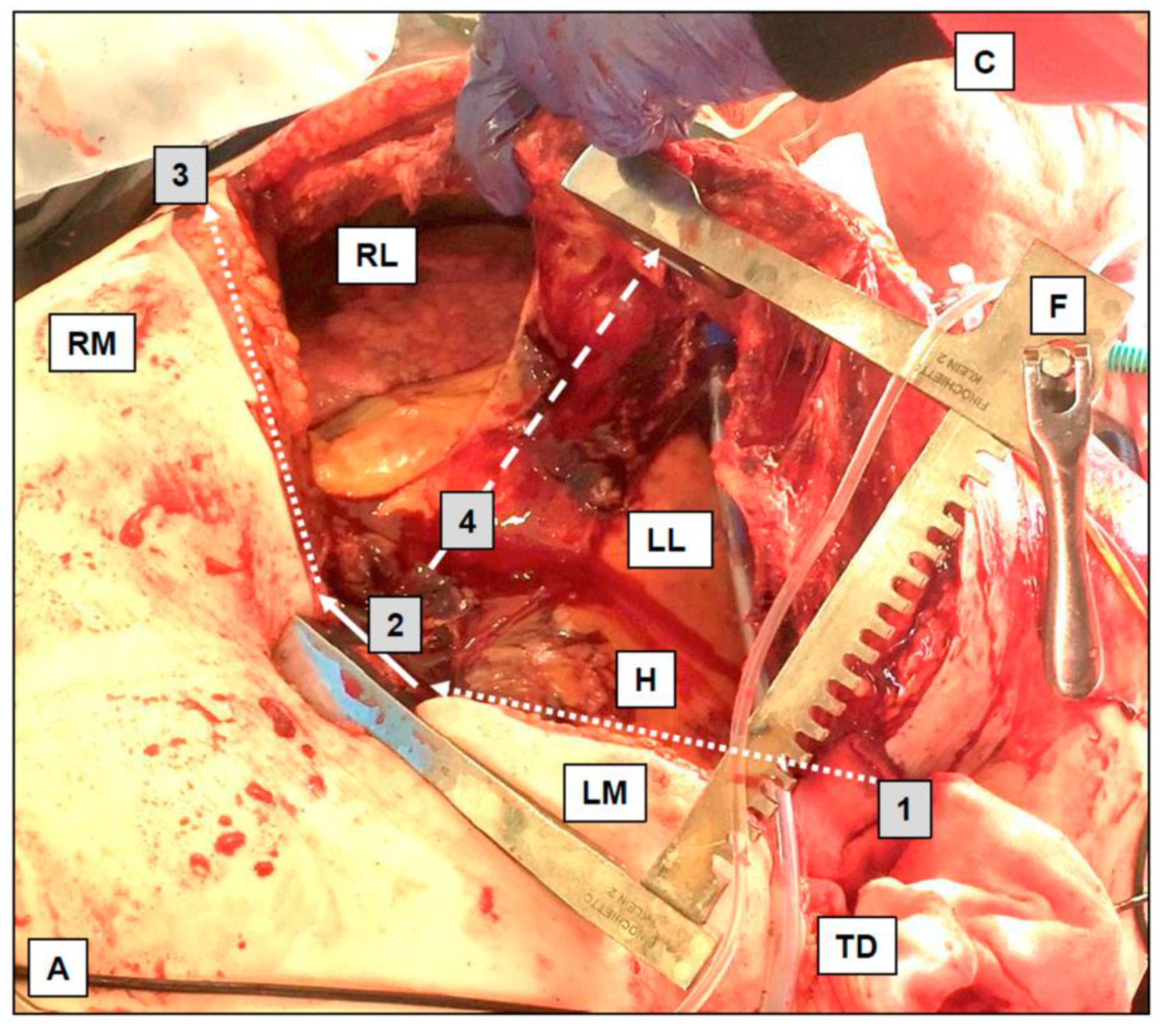 Jcm 13 00302 g002 Jcm 13 00302 g002