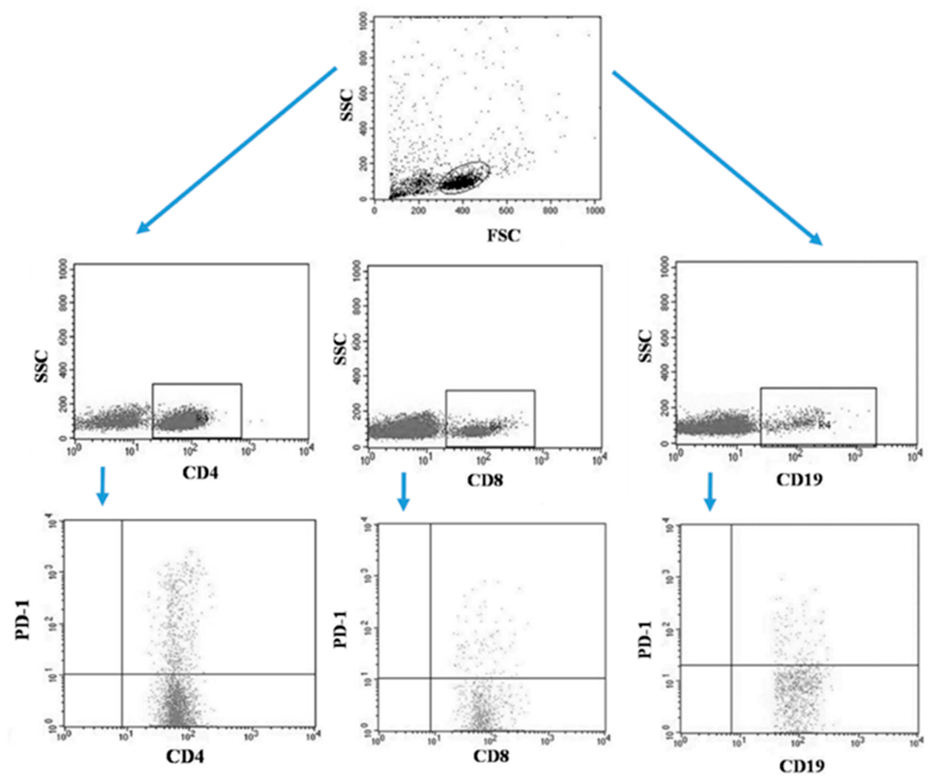 Jcm 13 00511 g004 Jcm 13 00511 g004