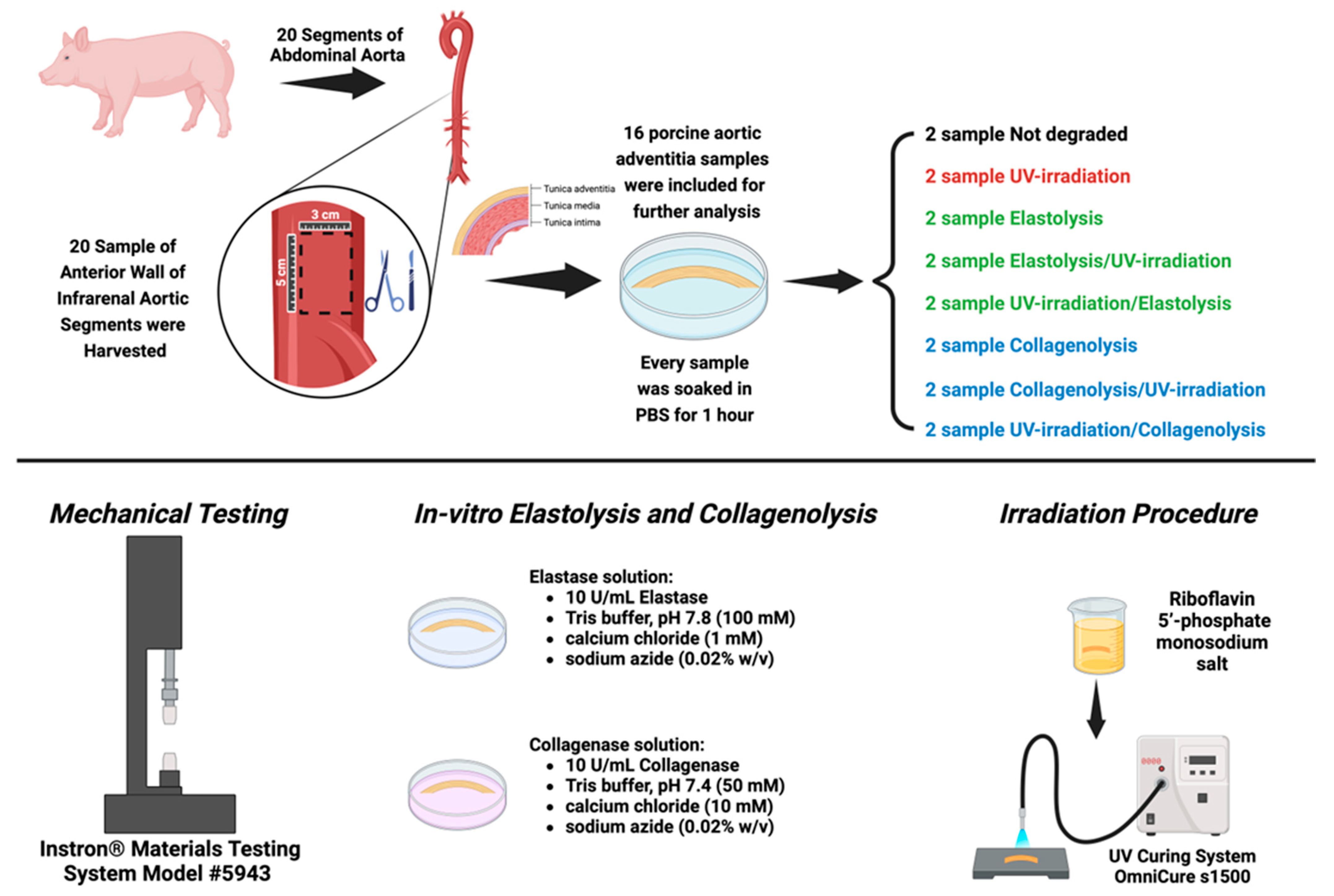 Jcm 13 00633 g001 Jcm 13 00633 g001