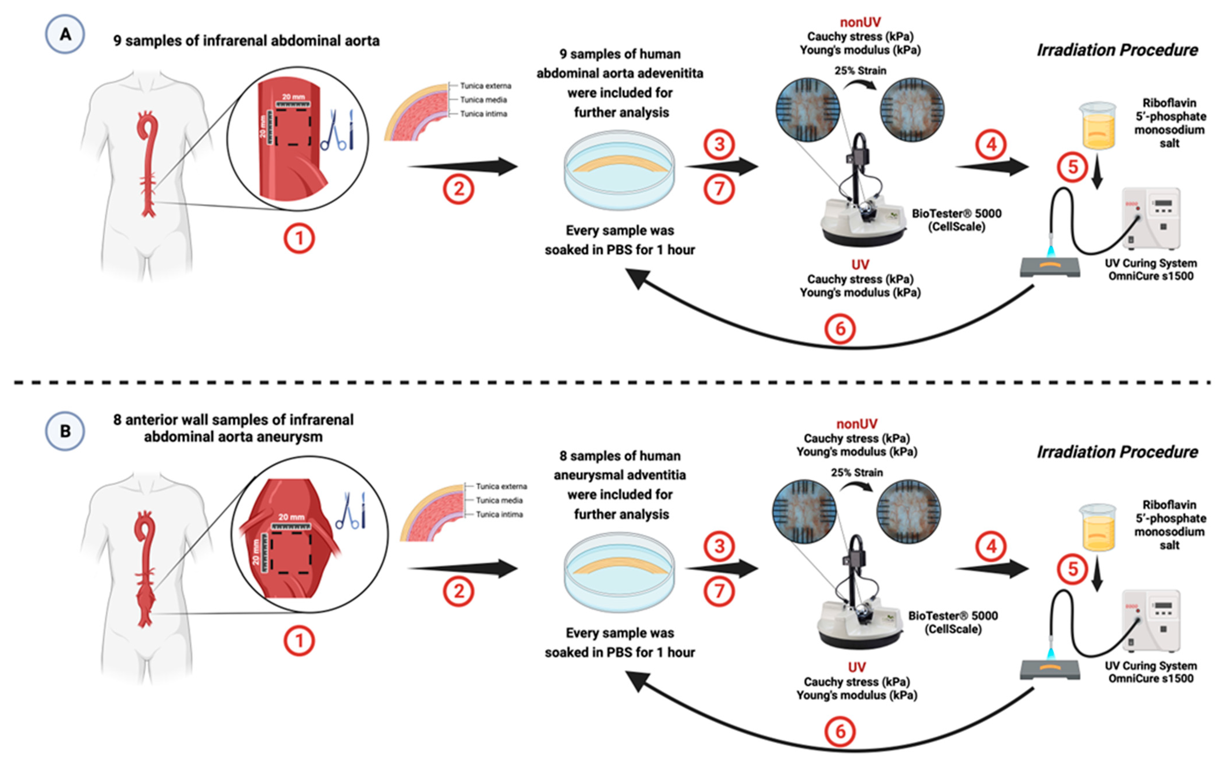 Jcm 13 00633 g002 Jcm 13 00633 g002