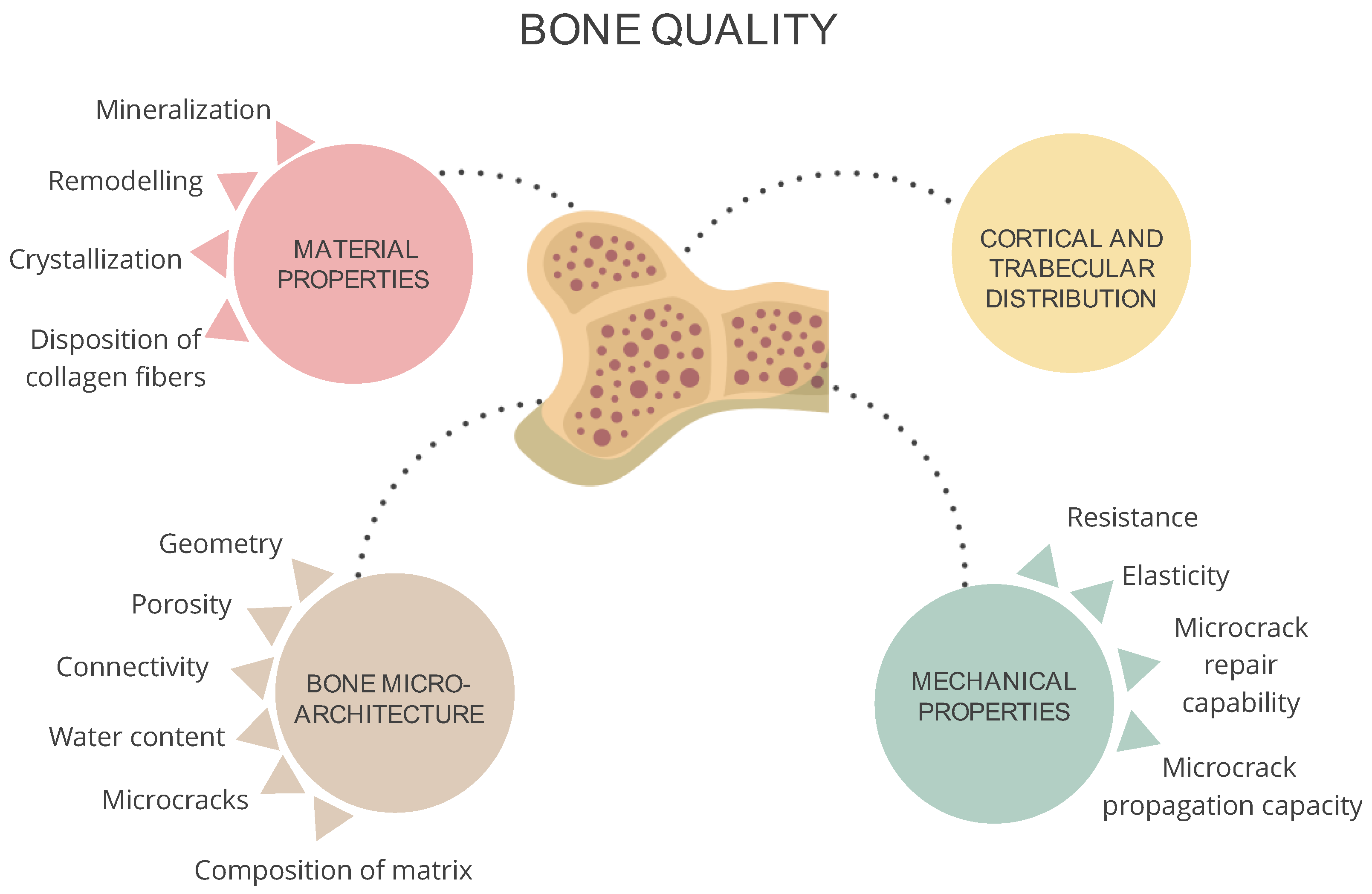 Jcm 13 01010 g003 Jcm 13 01010 g003