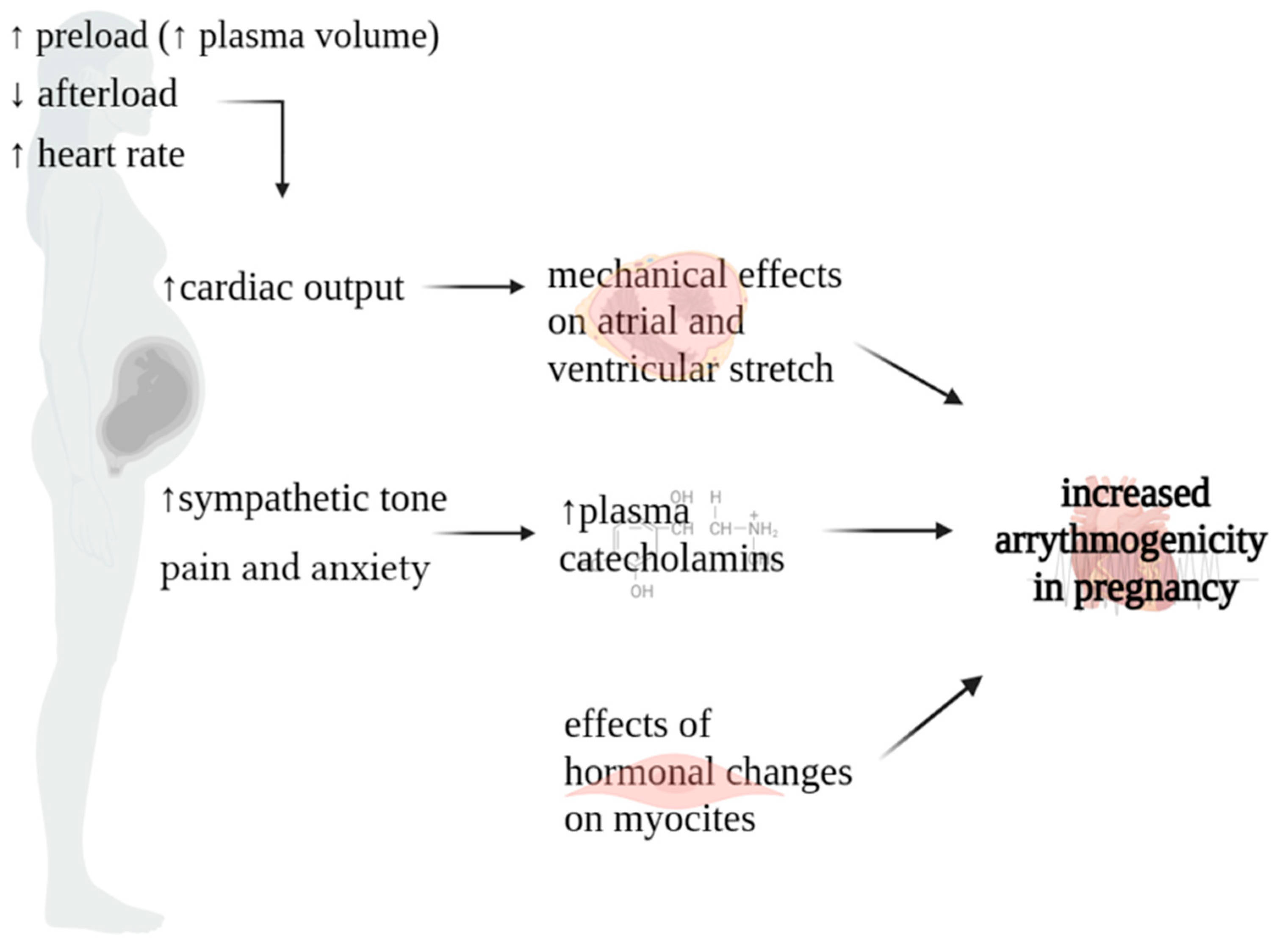 Jcm 13 01095 g001 Jcm 13 01095 g001