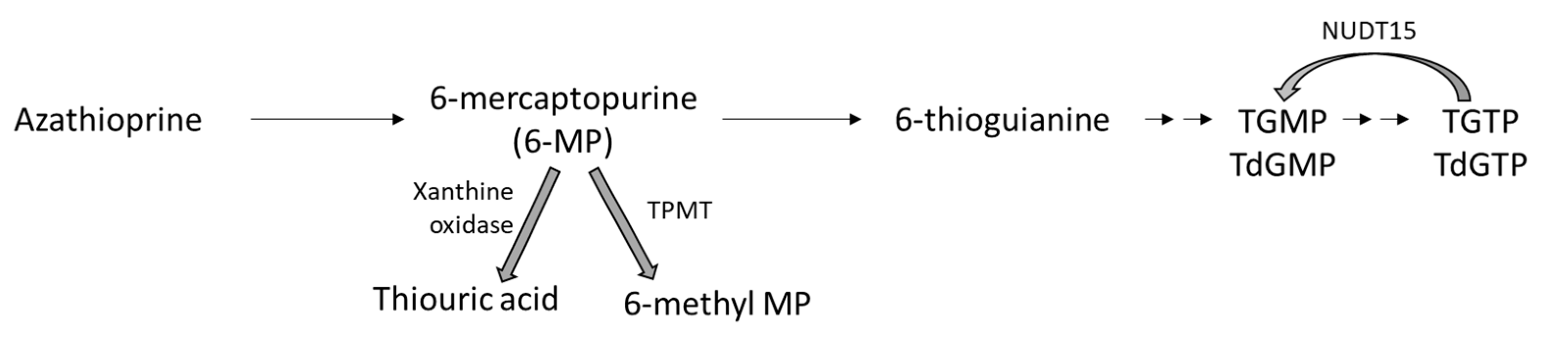 Jcm 13 01250 g001 Jcm 13 01250 g001