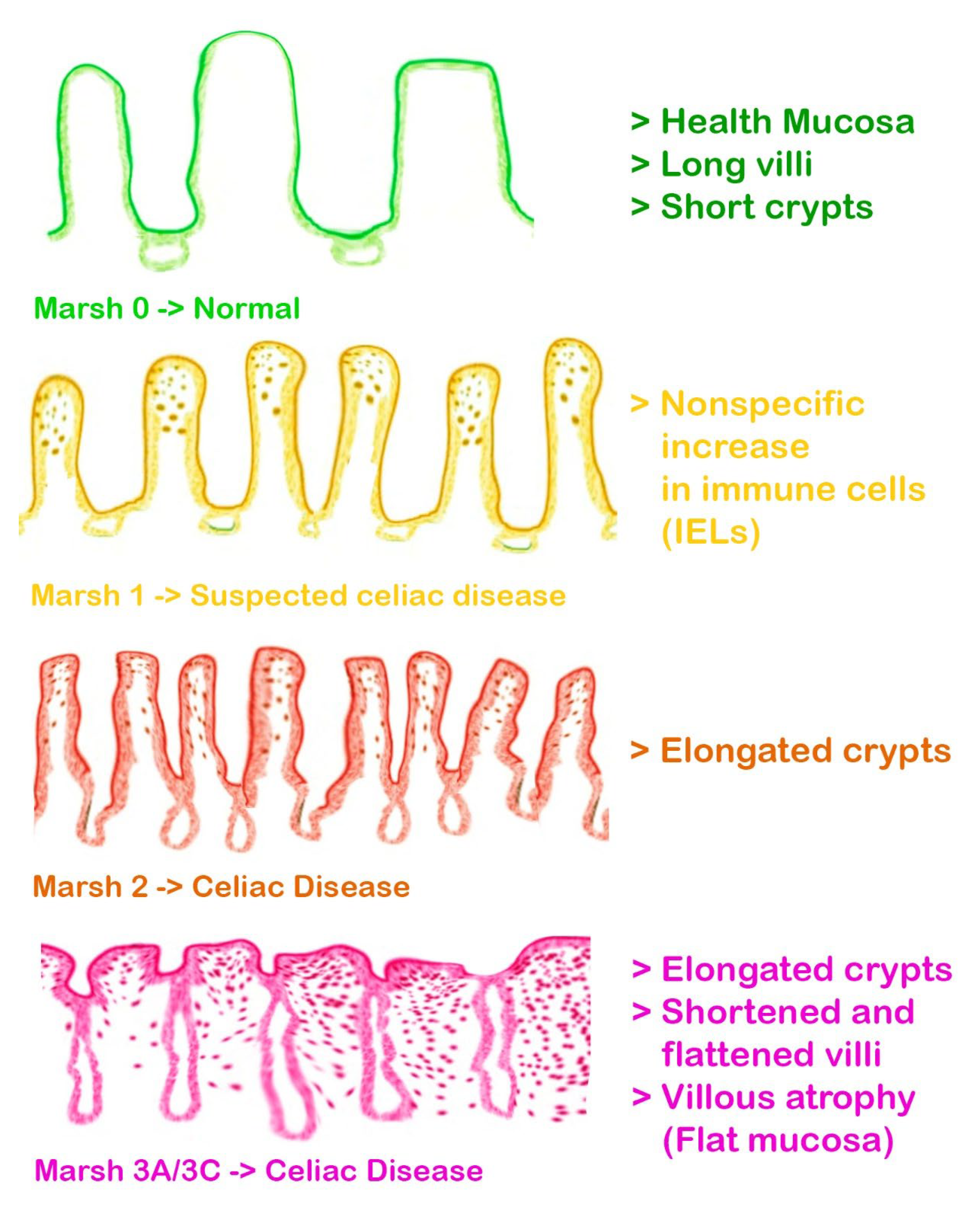Jcm 13 01382 g008 Jcm 13 01382 g008