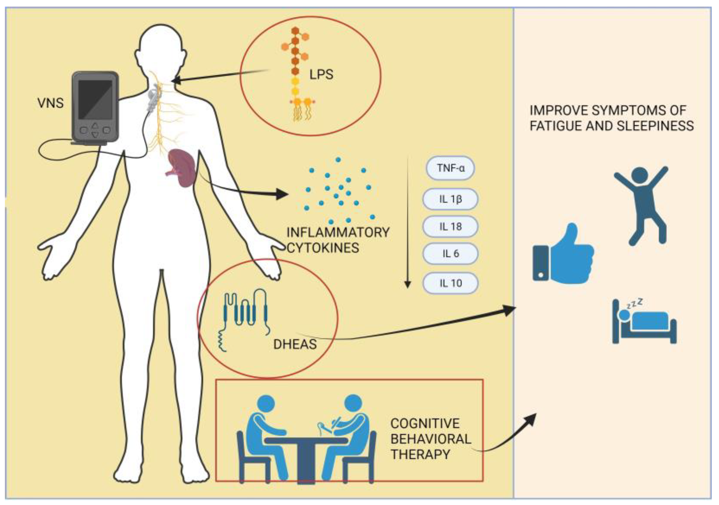 Jcm 13 01537 g004 Jcm 13 01537 g004