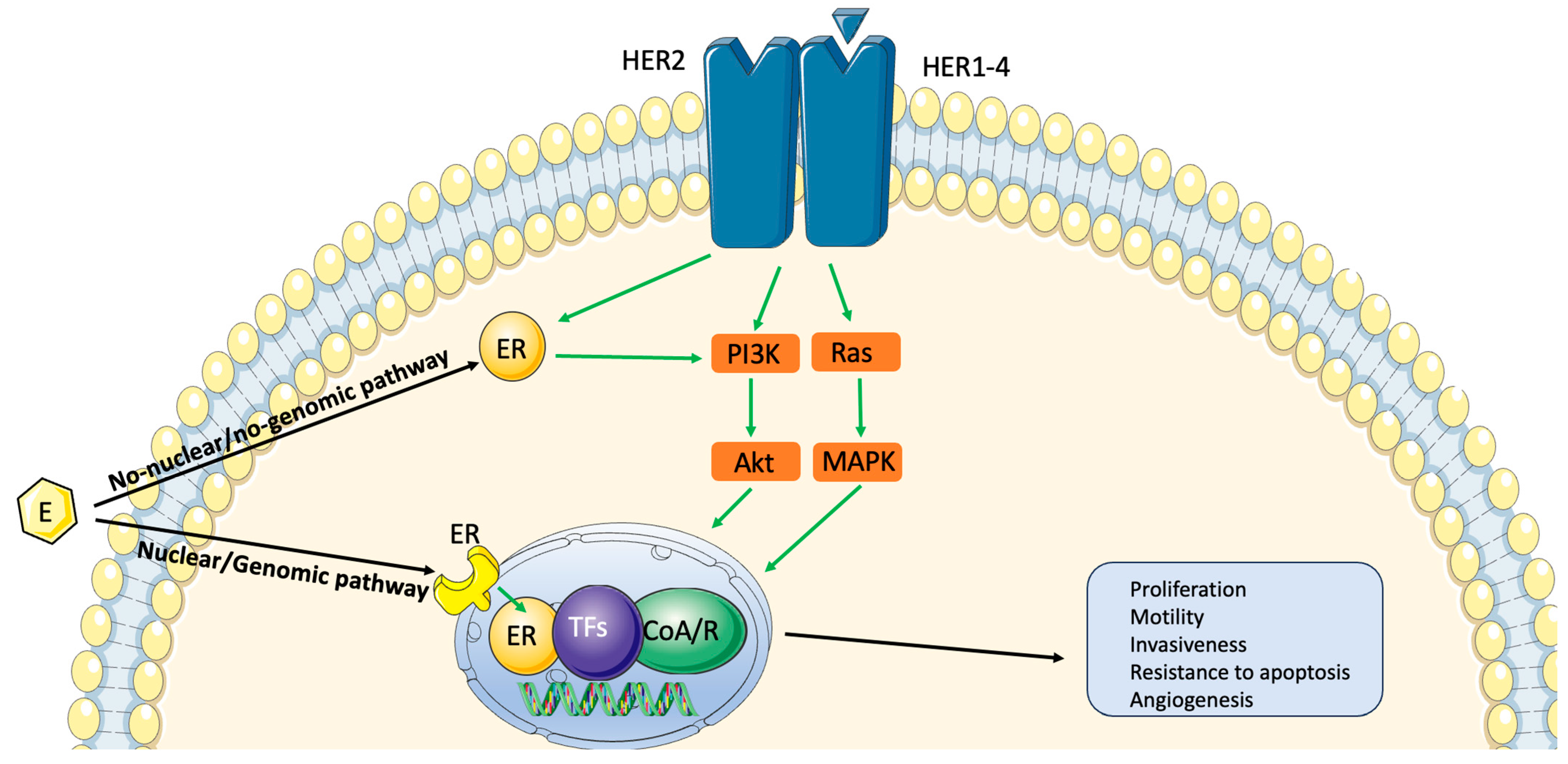 Jcm 13 01873 g001 Jcm 13 01873 g001