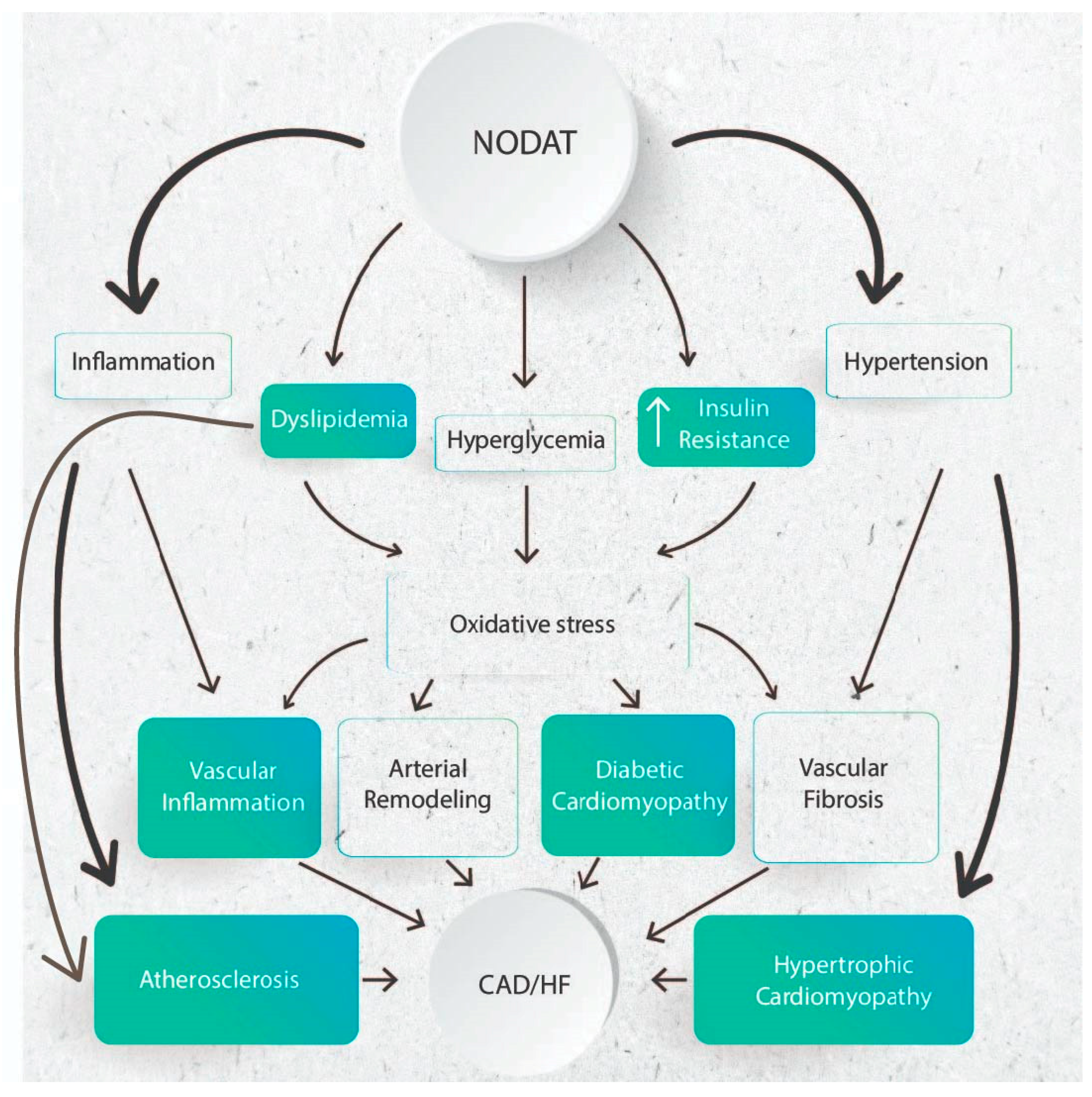 Jcm 13 01928 g002 Jcm 13 01928 g002