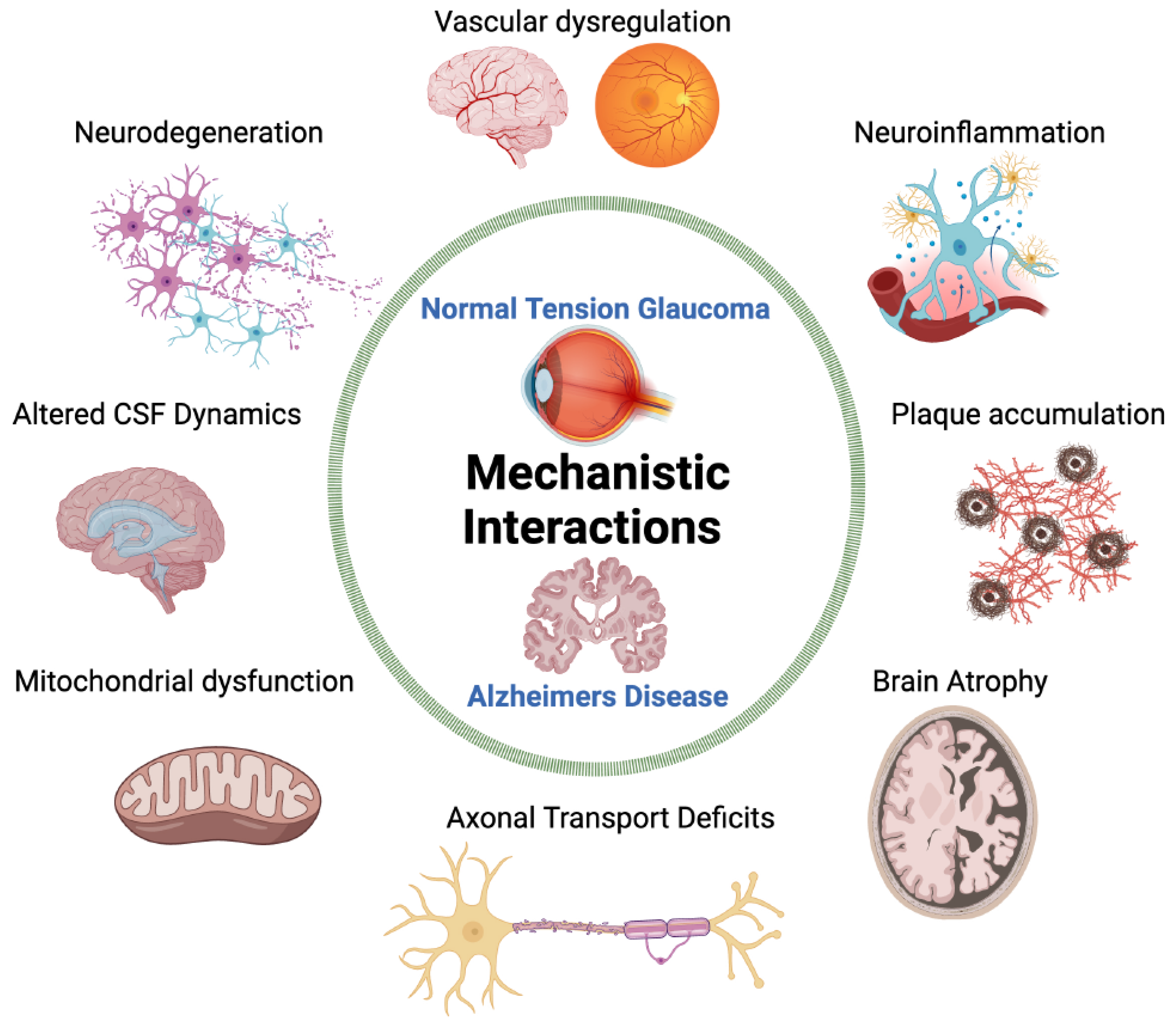 Jcm 13 01948 g004 Jcm 13 01948 g004