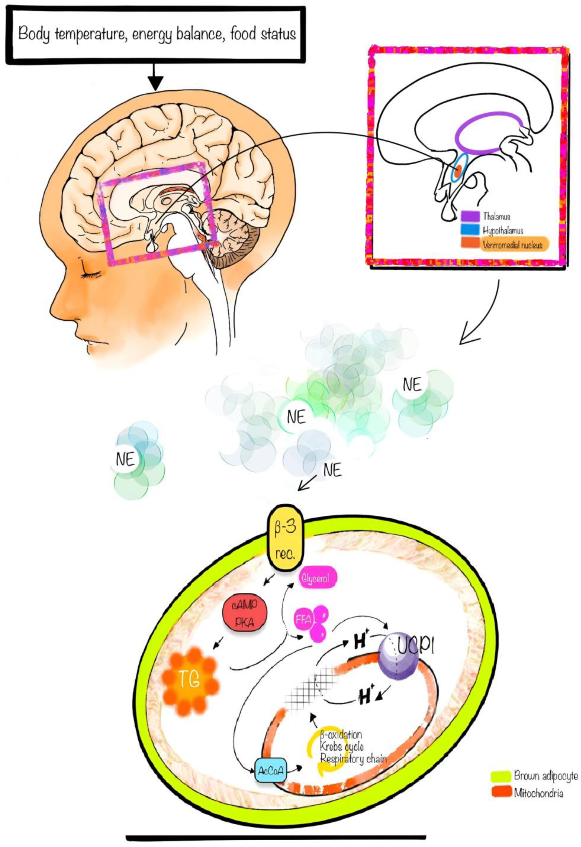Jcm 13 01973 g001 Jcm 13 01973 g001