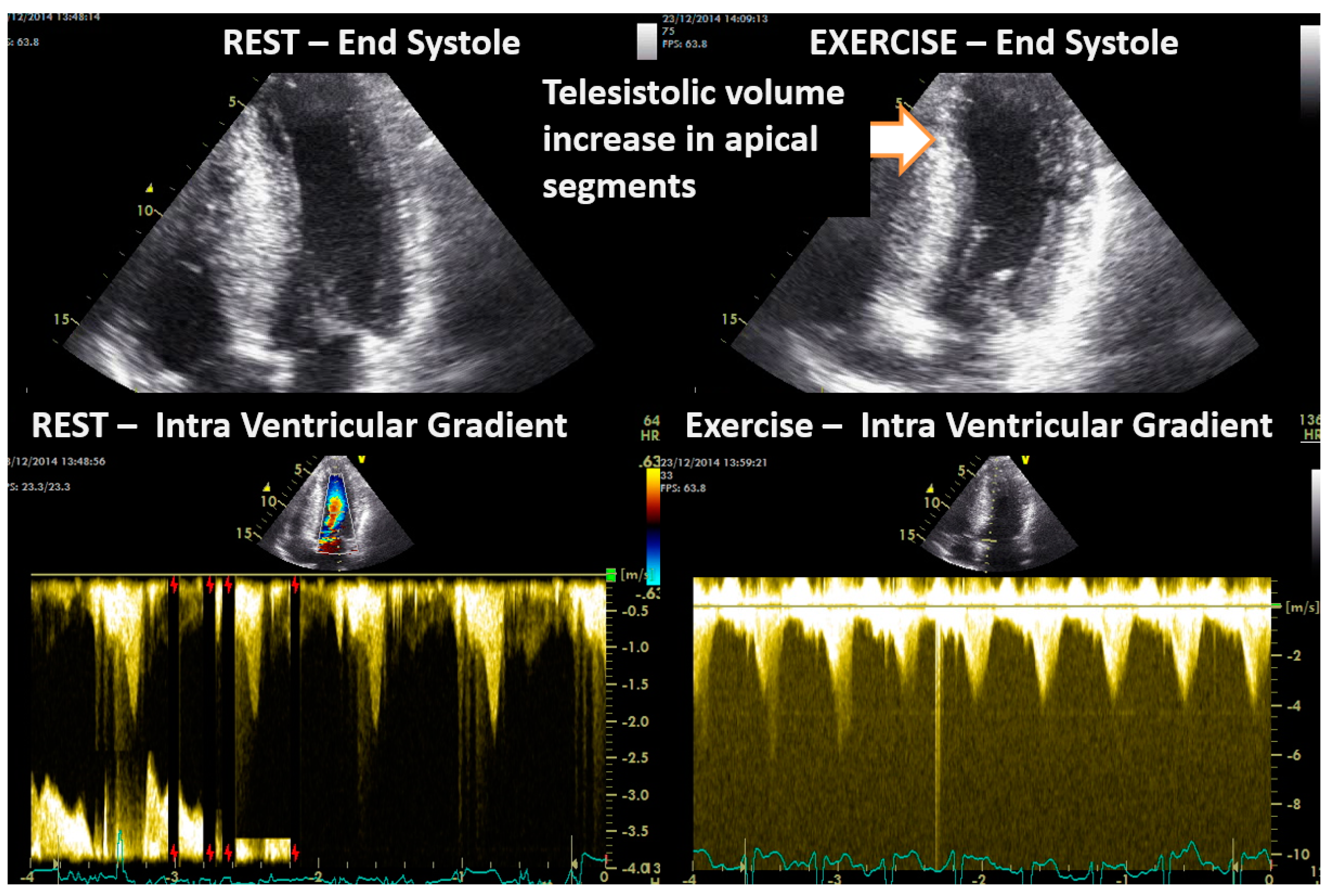 Jcm 13 02191 g006 Jcm 13 02191 g006
