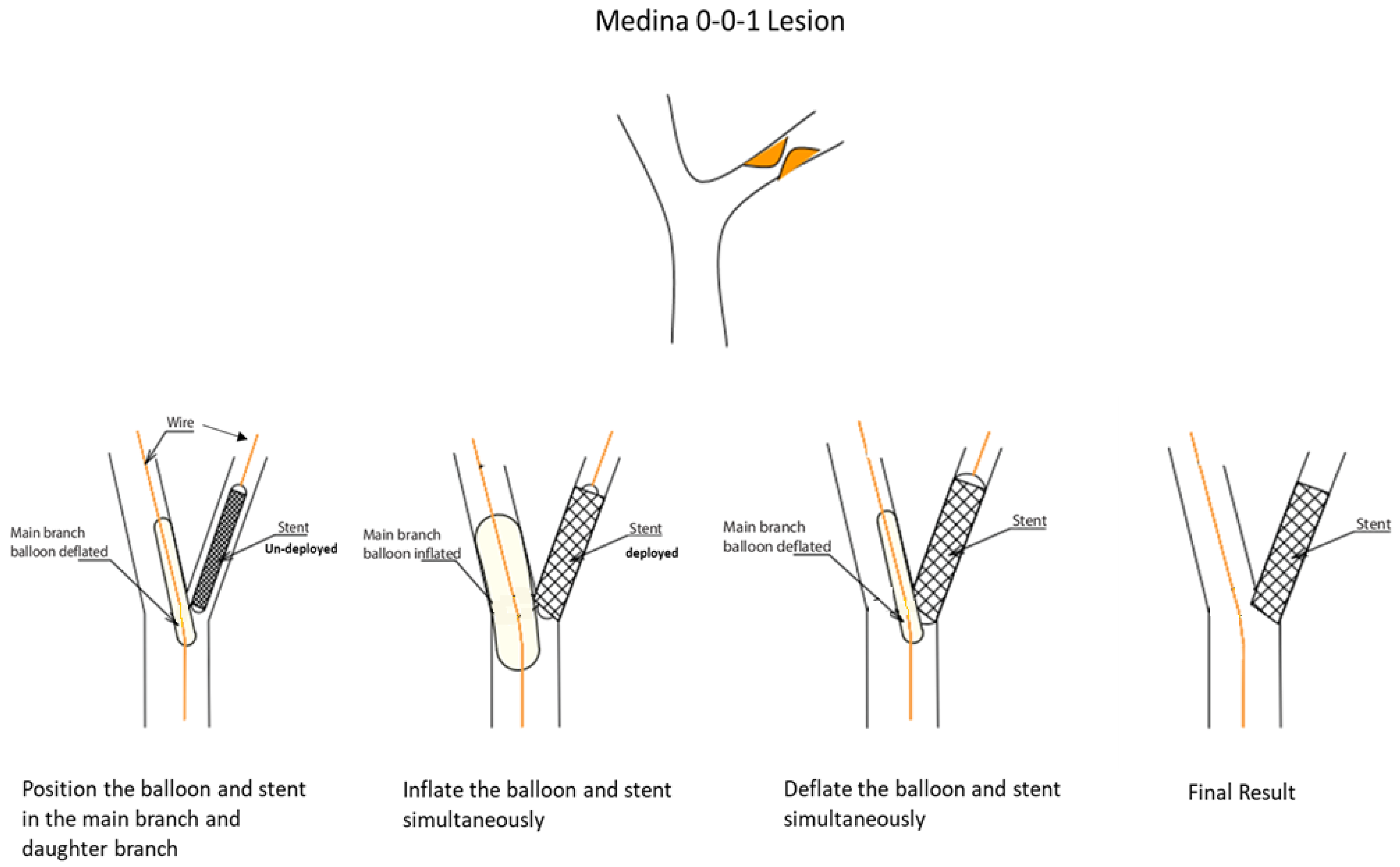Jcm 13 02645 g001 Jcm 13 02645 g001
