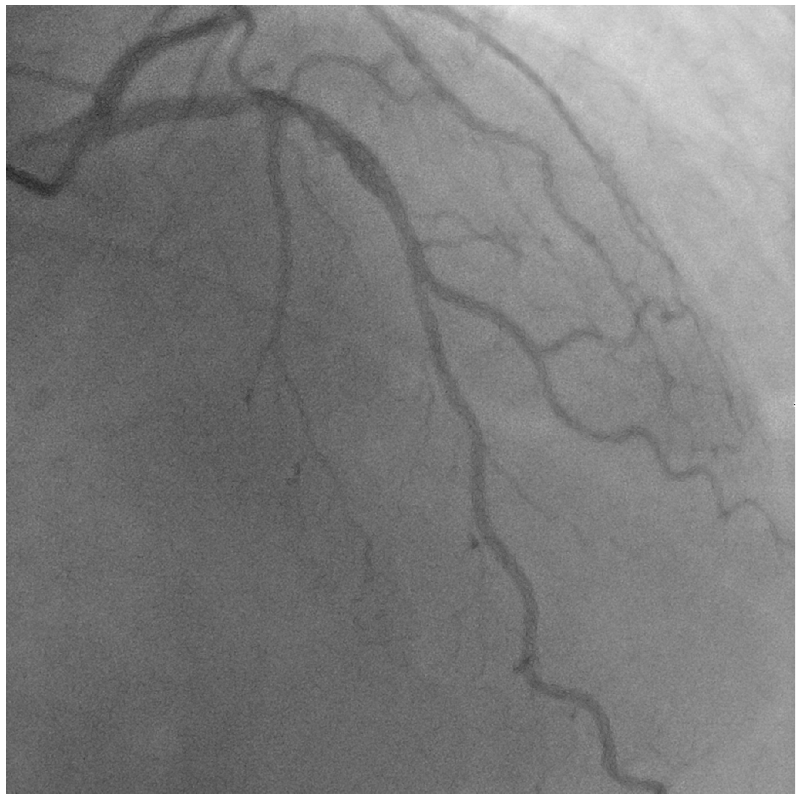 Jcm 13 02645 g006 Jcm 13 02645 g006