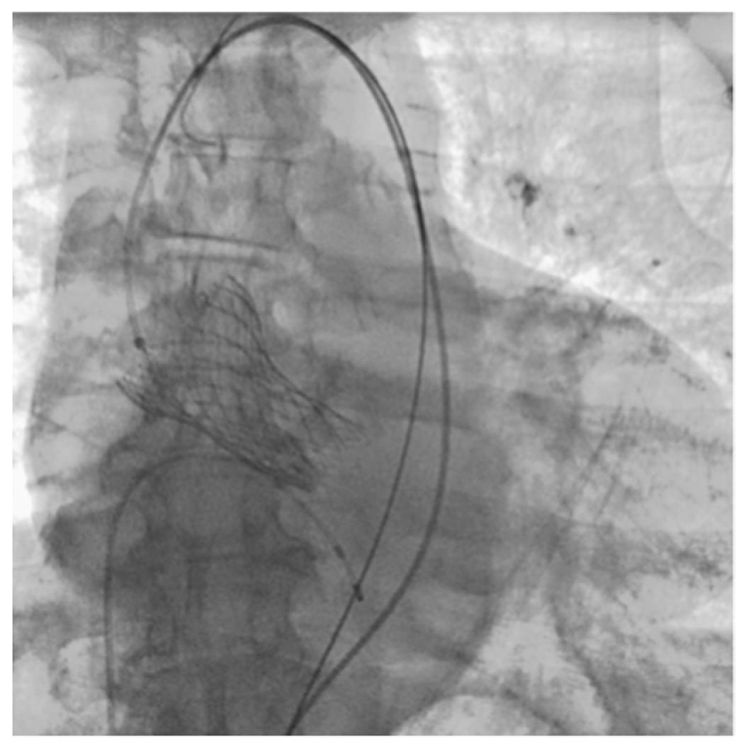 Jcm 13 02716 g001 Jcm 13 02716 g001