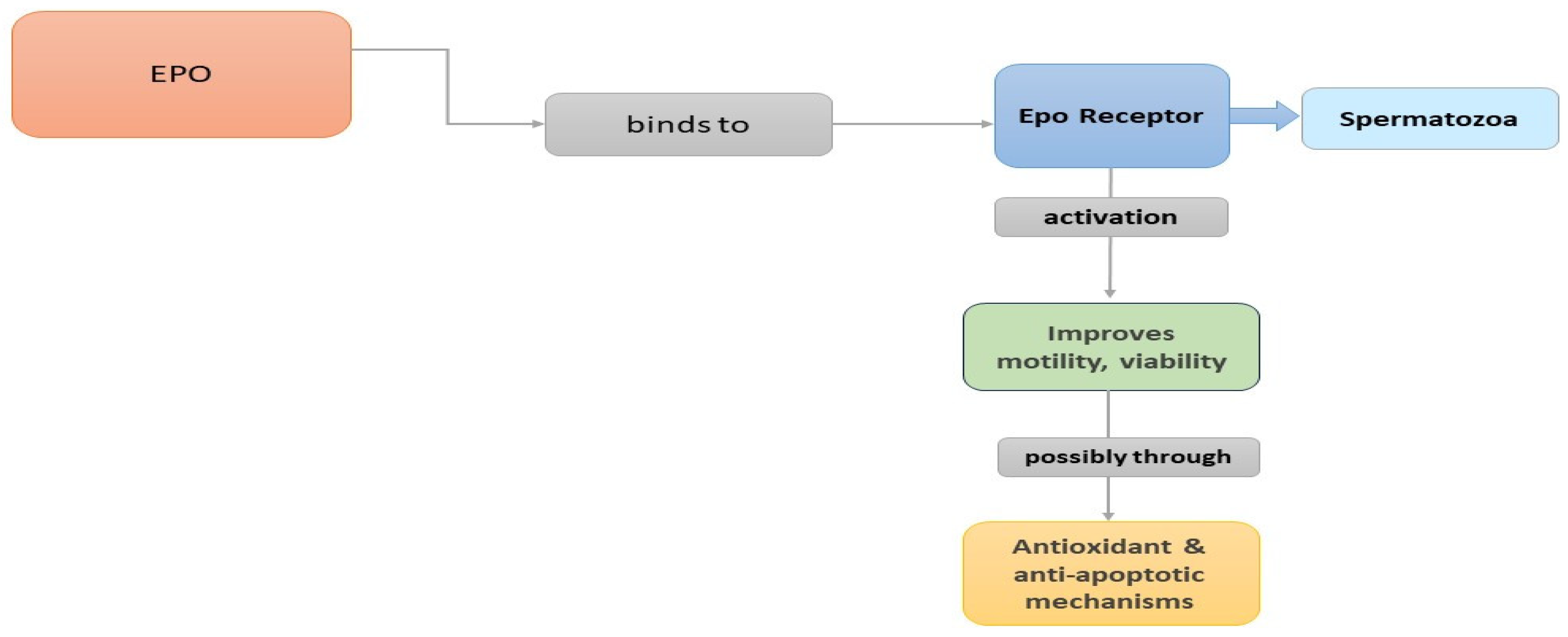Jcm 13 02918 g002 Jcm 13 02918 g002