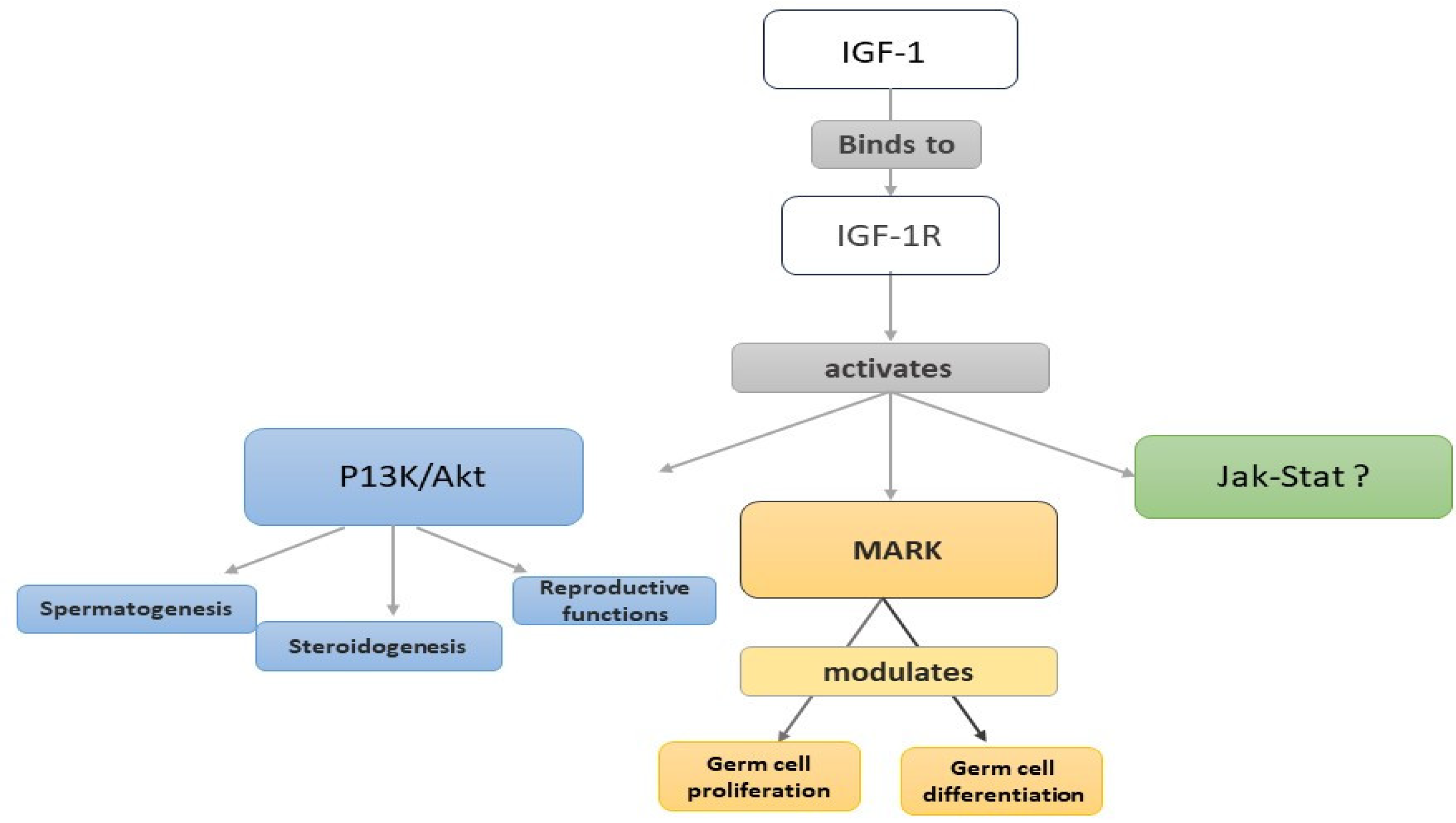 Jcm 13 02918 g003 Jcm 13 02918 g003
