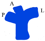 Jcm 13 02924 i002 Jcm 13 02924 i002