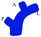 Jcm 13 02924 i004 Jcm 13 02924 i004