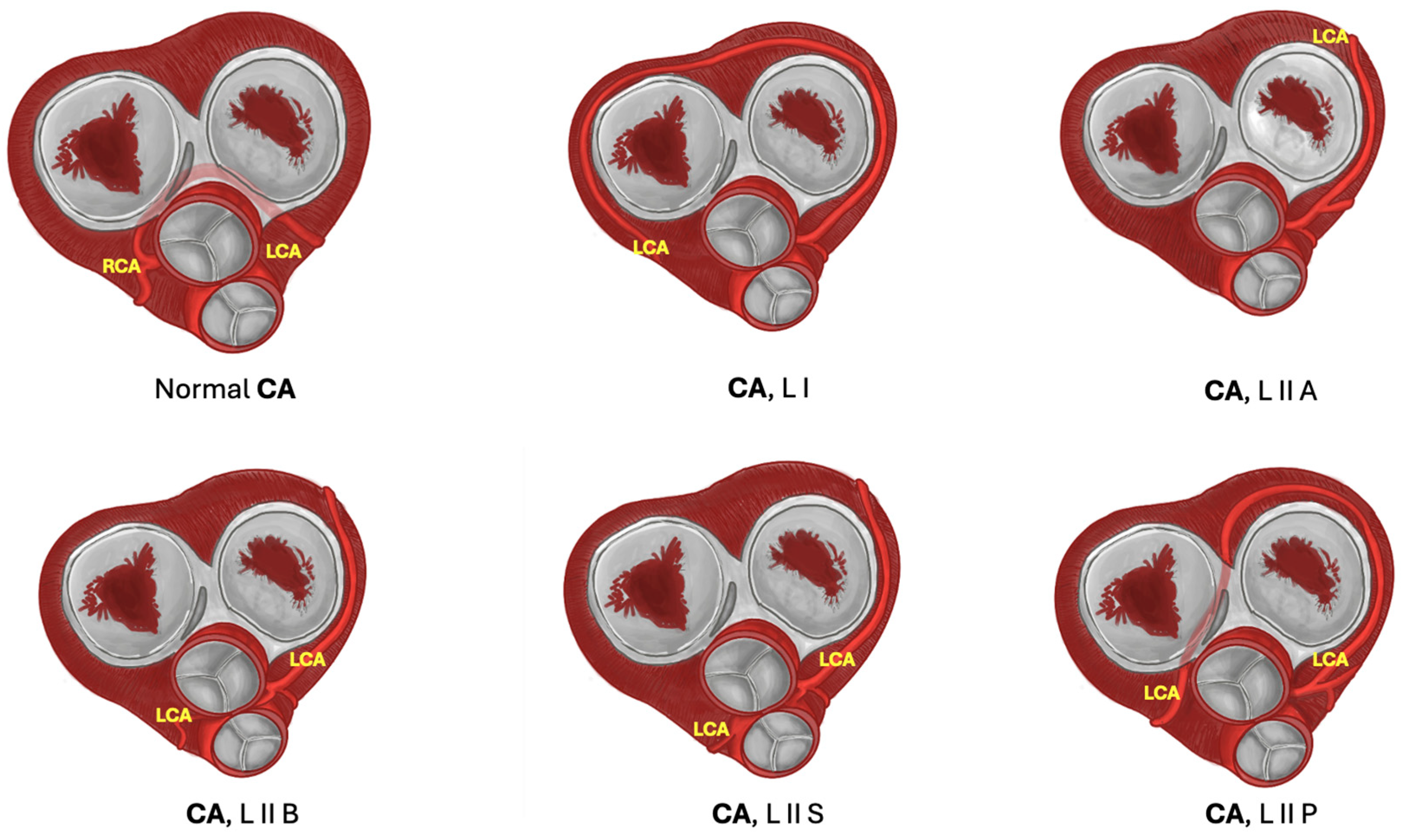 Jcm 13 03085 g002 Jcm 13 03085 g002