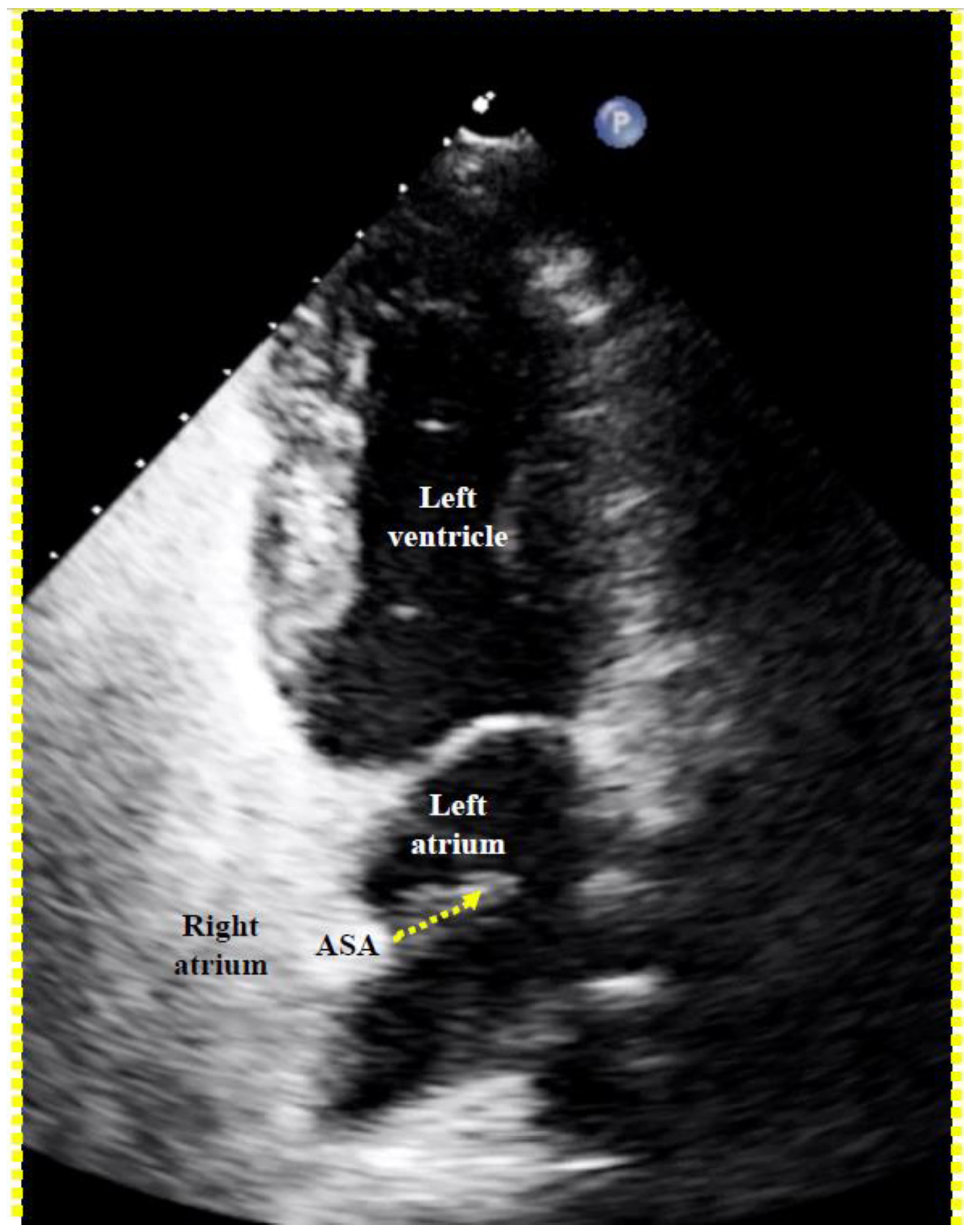 Jcm 13 03355 g005 Jcm 13 03355 g005