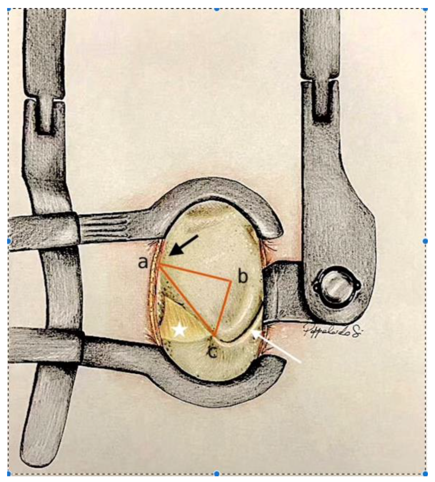 Jcm 13 03571 g001 Jcm 13 03571 g001