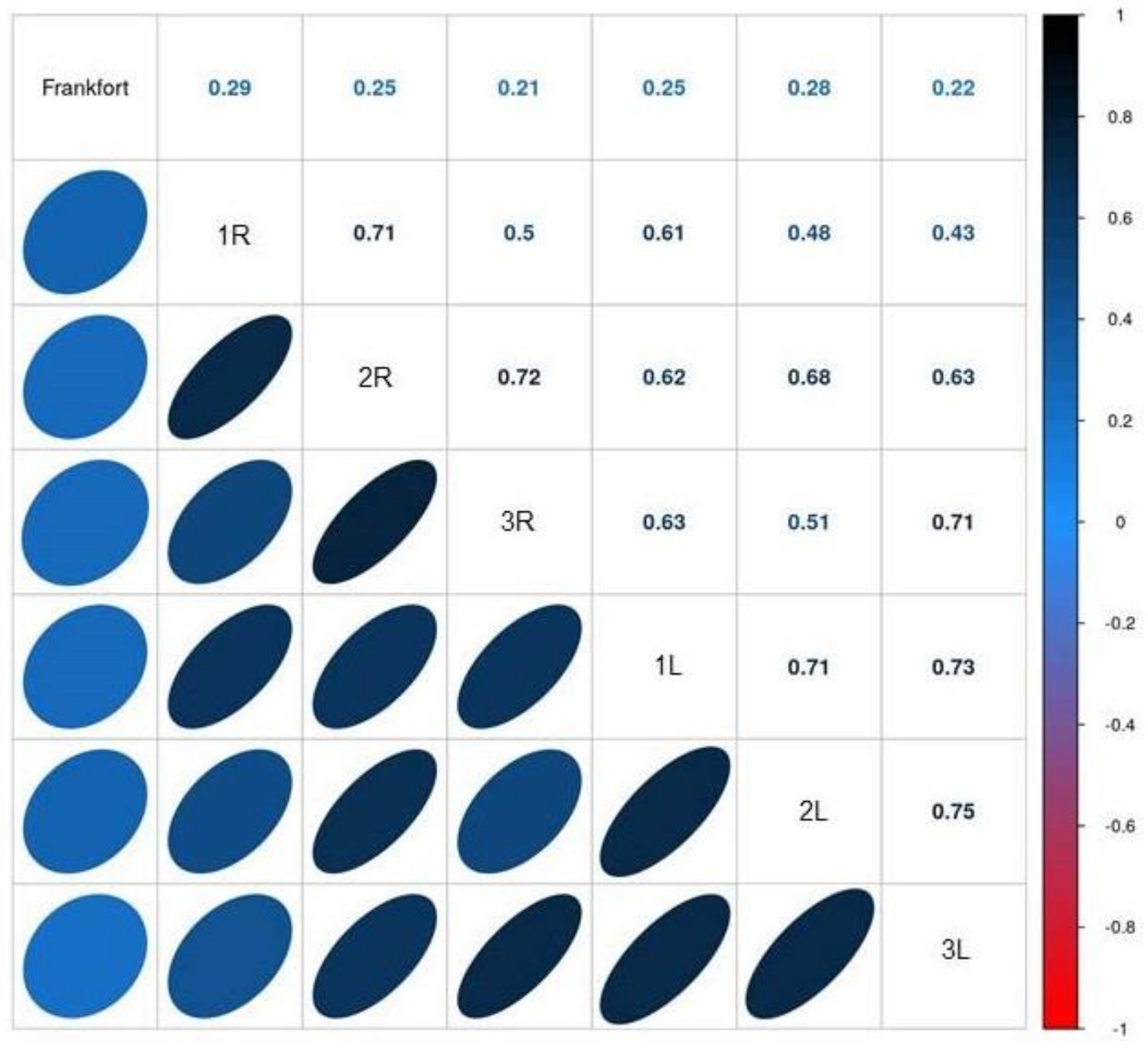 Jcm 13 03614 g005 Jcm 13 03614 g005