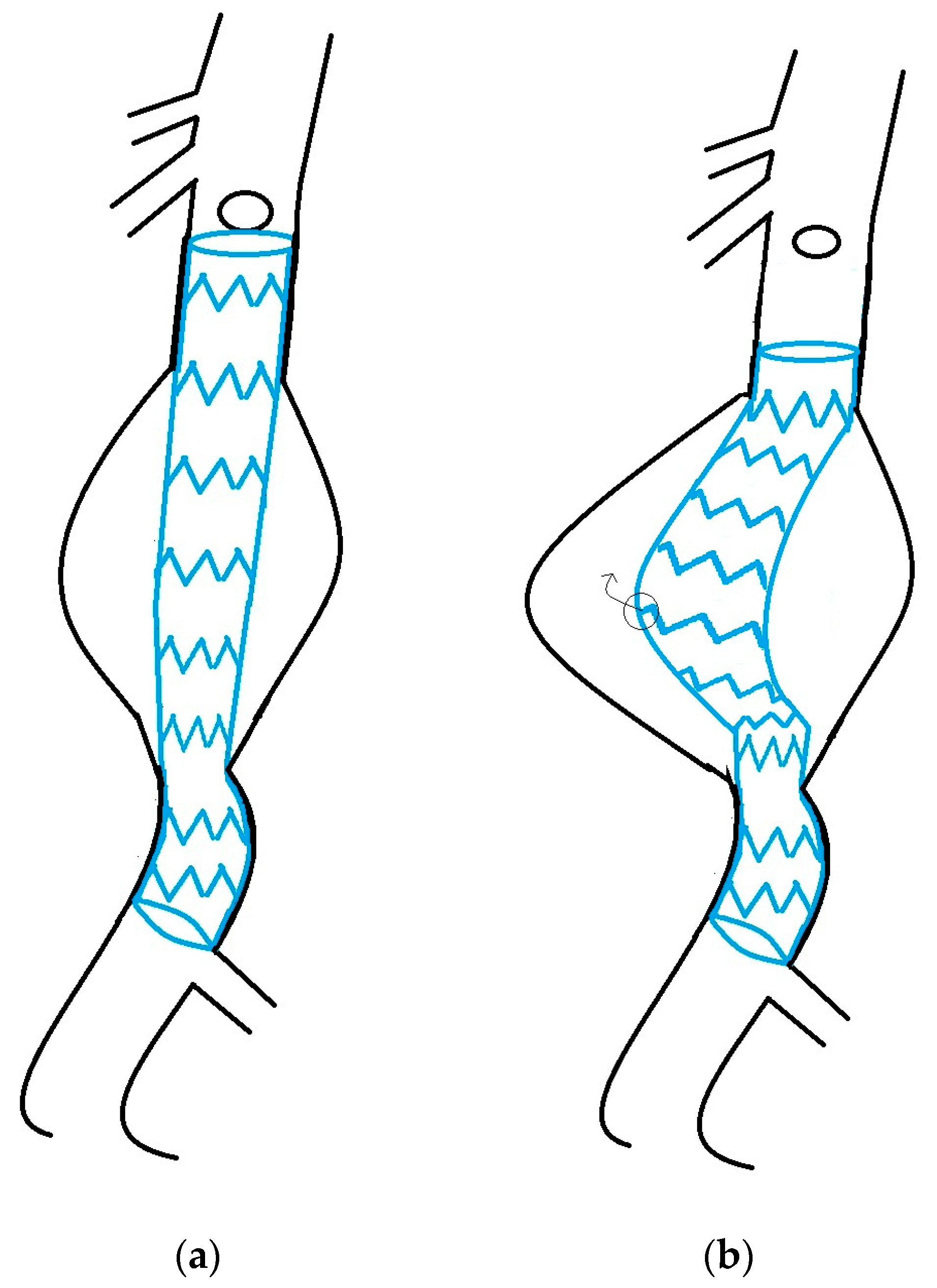 Jcm 13 04293 g001 Jcm 13 04293 g001