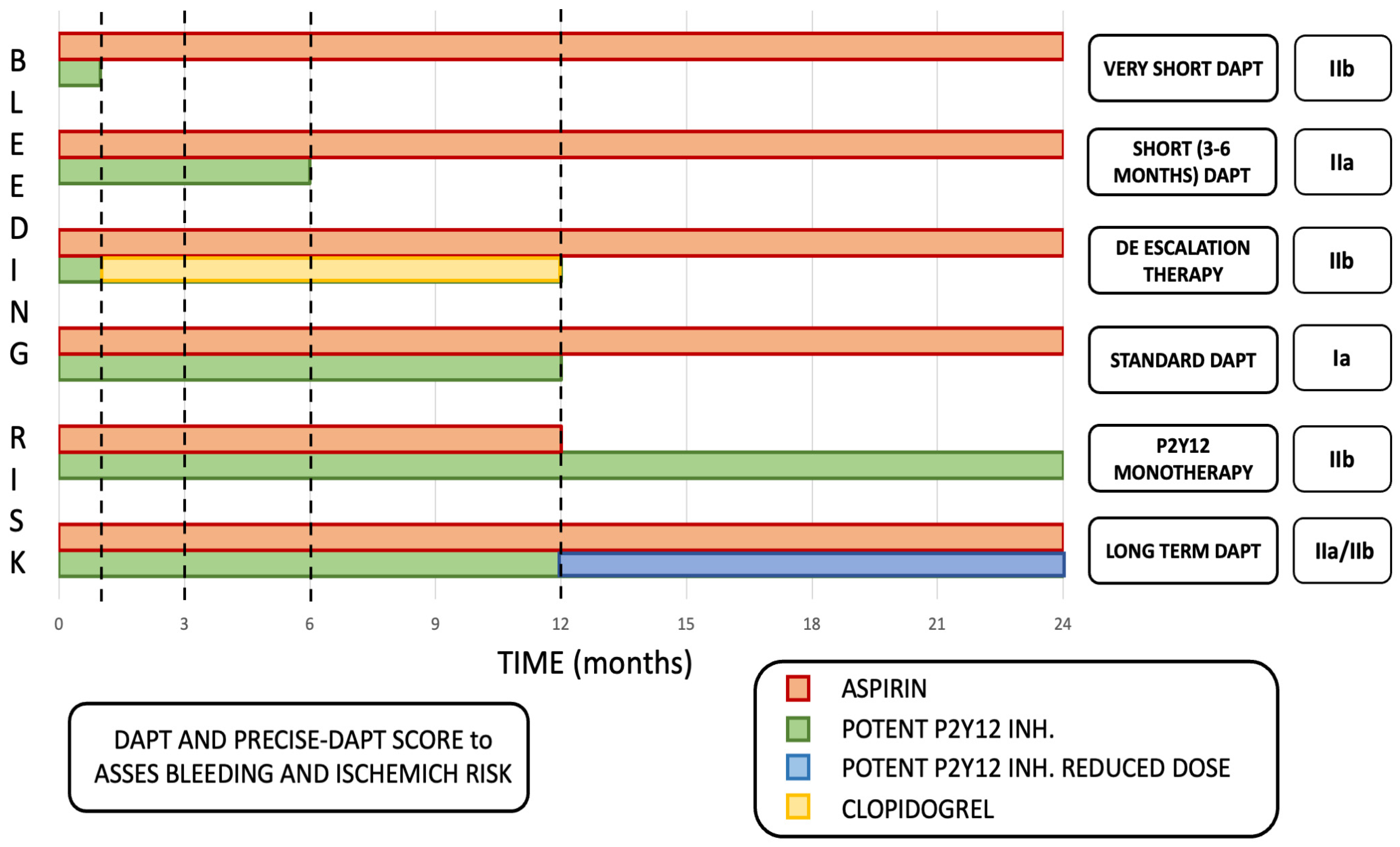 Clinical Updates in Coronary Artery Disease: A Comprehensive Review | MDPI