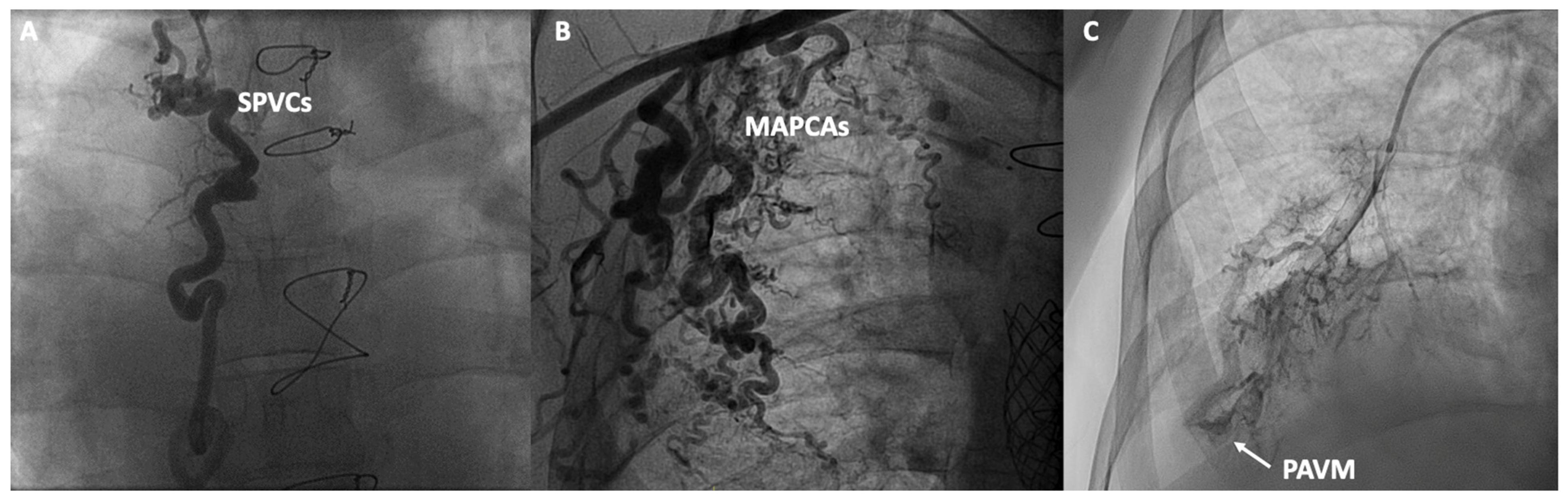 Jcm 13 04633 g003 Jcm 13 04633 g003