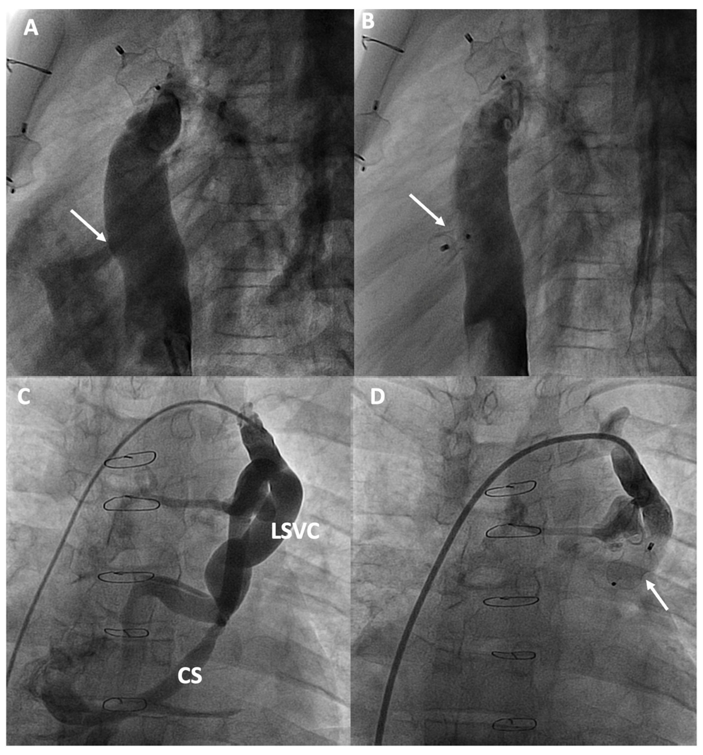 Jcm 13 04633 g005 Jcm 13 04633 g005