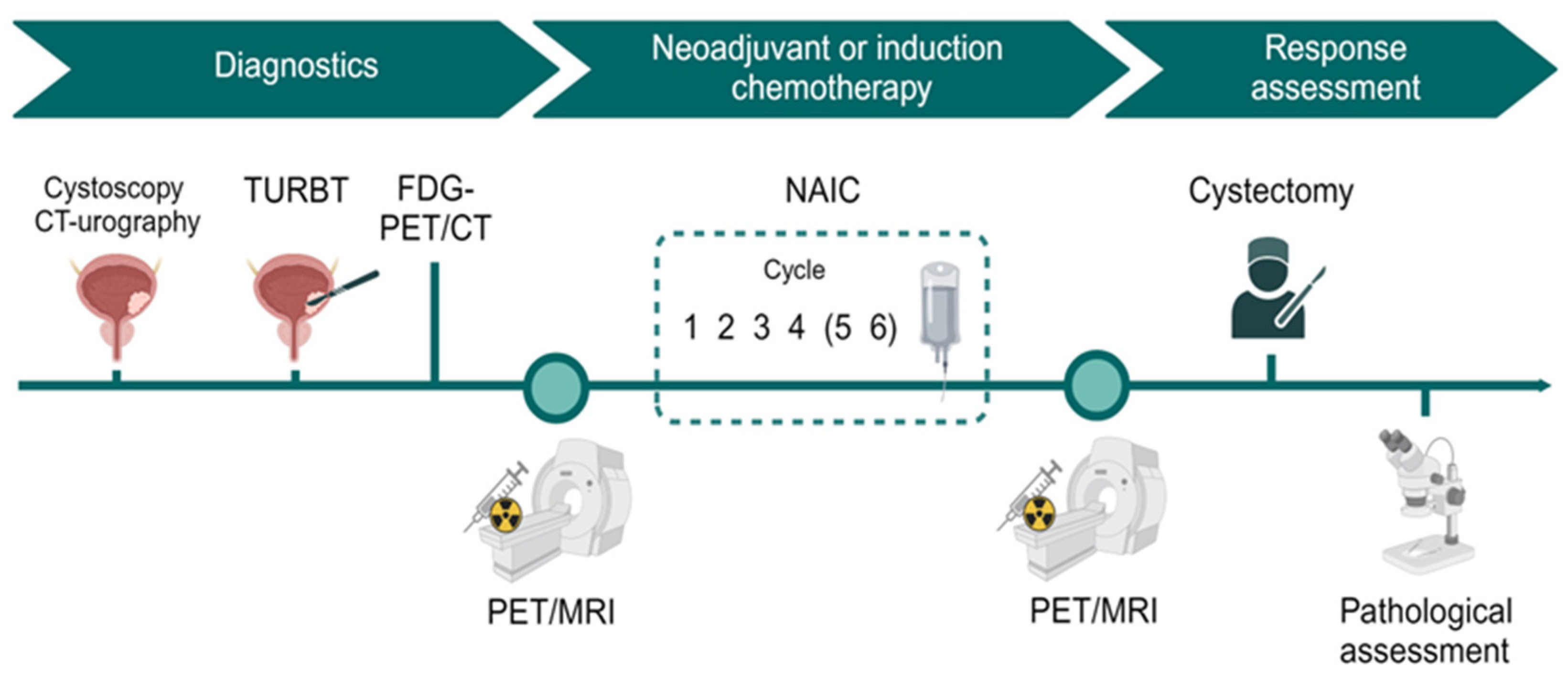 Jcm 13 04652 g001 Jcm 13 04652 g001