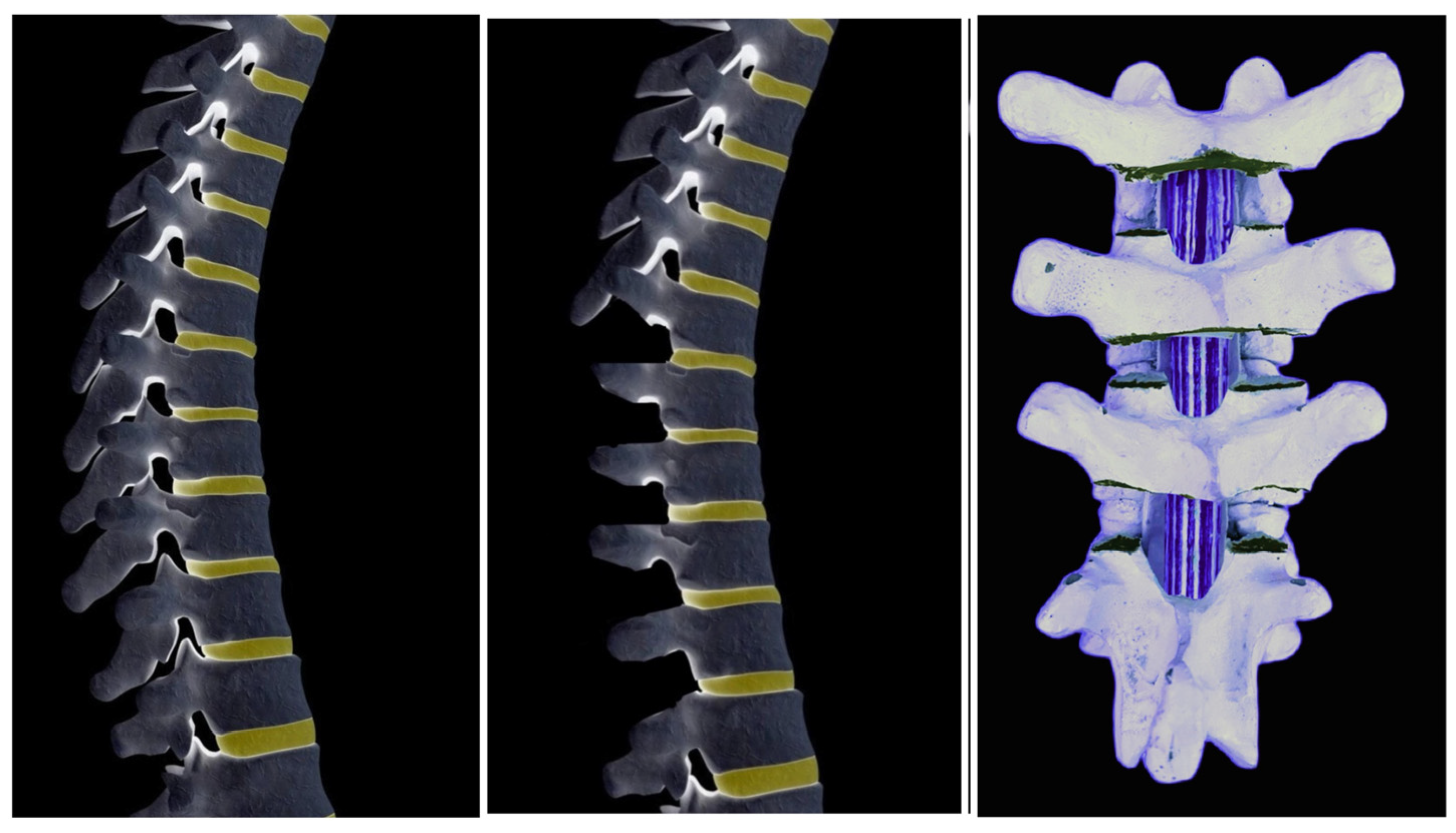 Jcm 13 04824 g006 Jcm 13 04824 g006