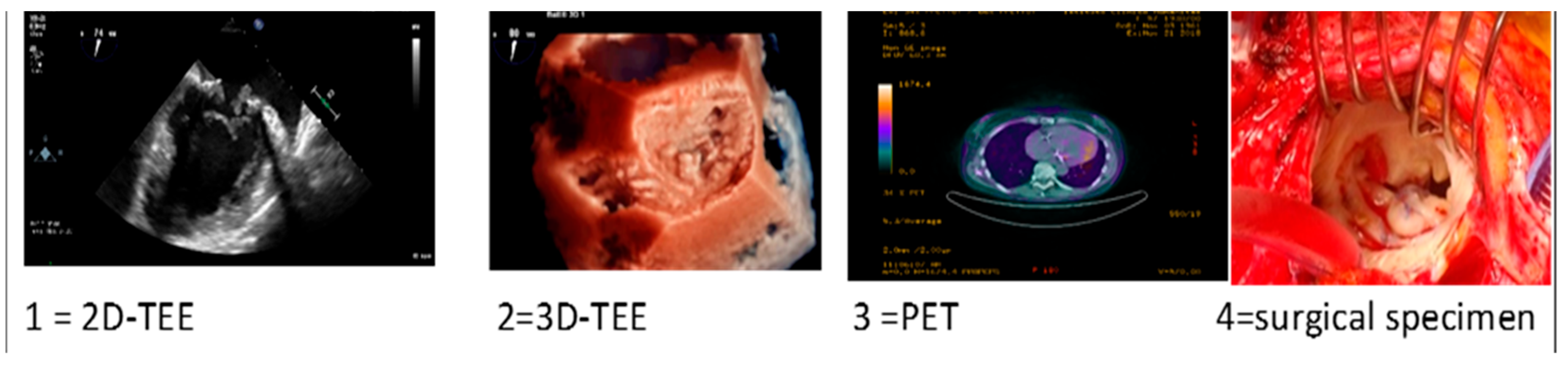 Jcm 13 05058 i002 Jcm 13 05058 i002