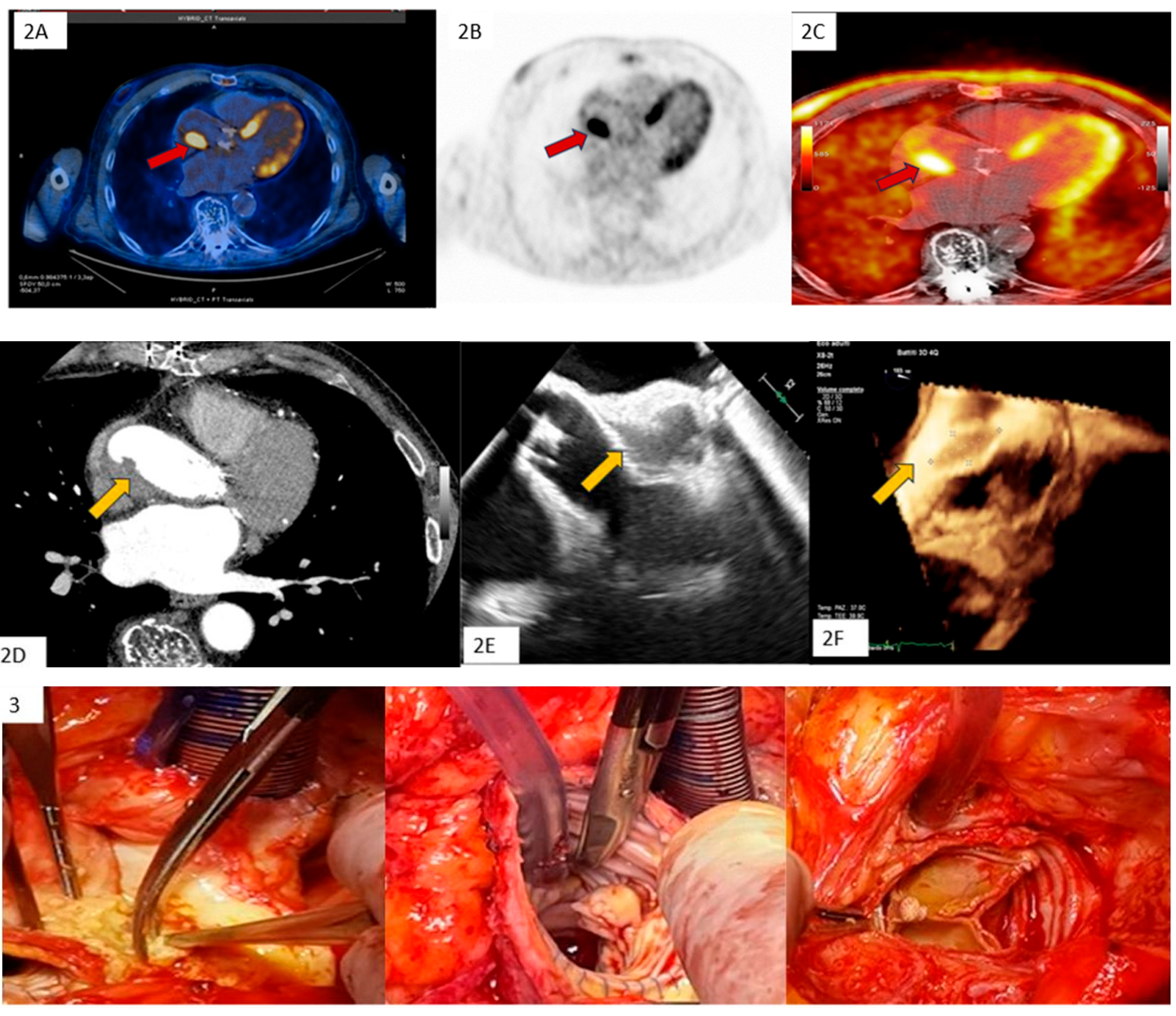 Jcm 13 05058 i004b Jcm 13 05058 i004b