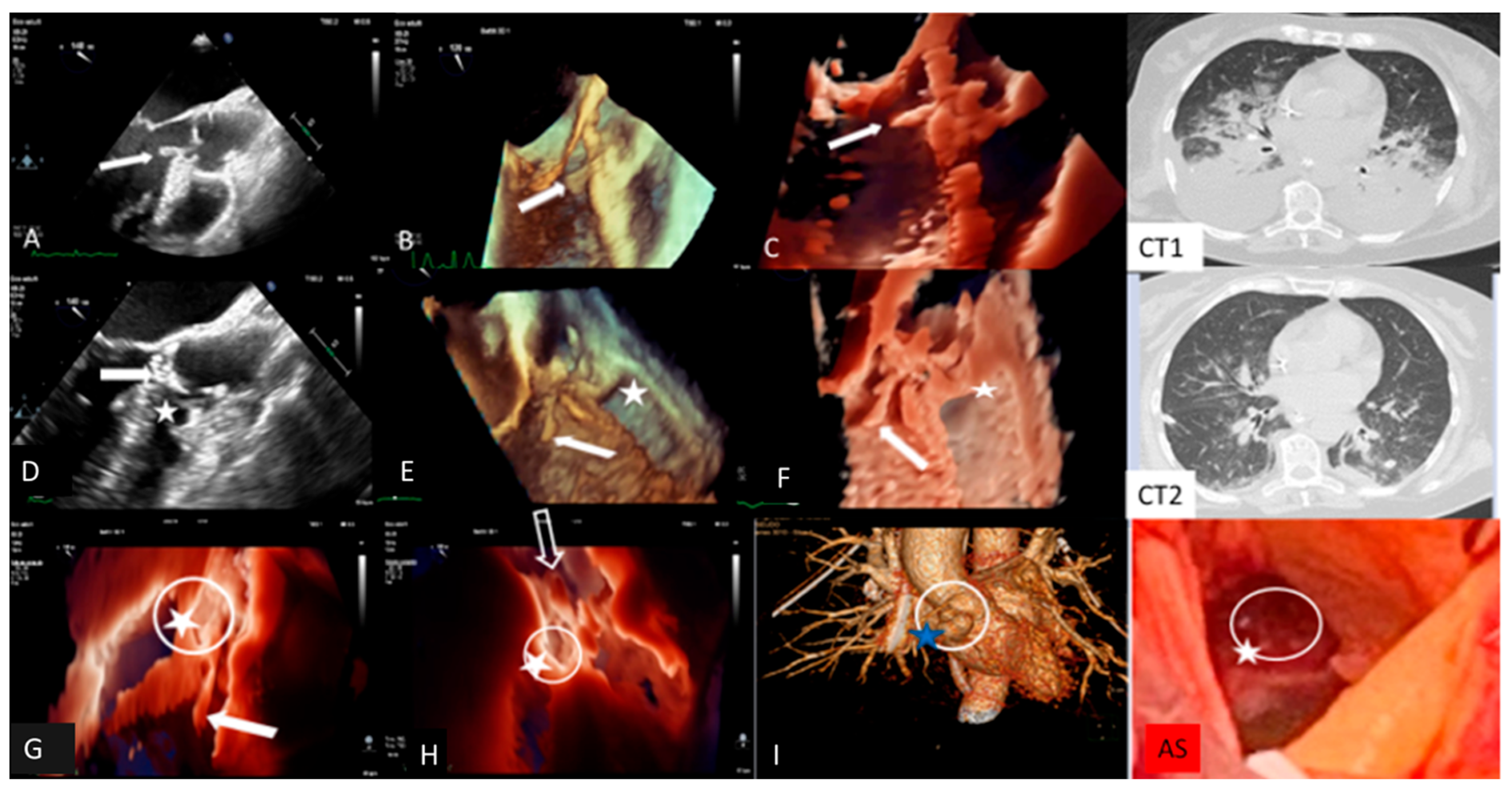 Jcm 13 05058 i005 Jcm 13 05058 i005
