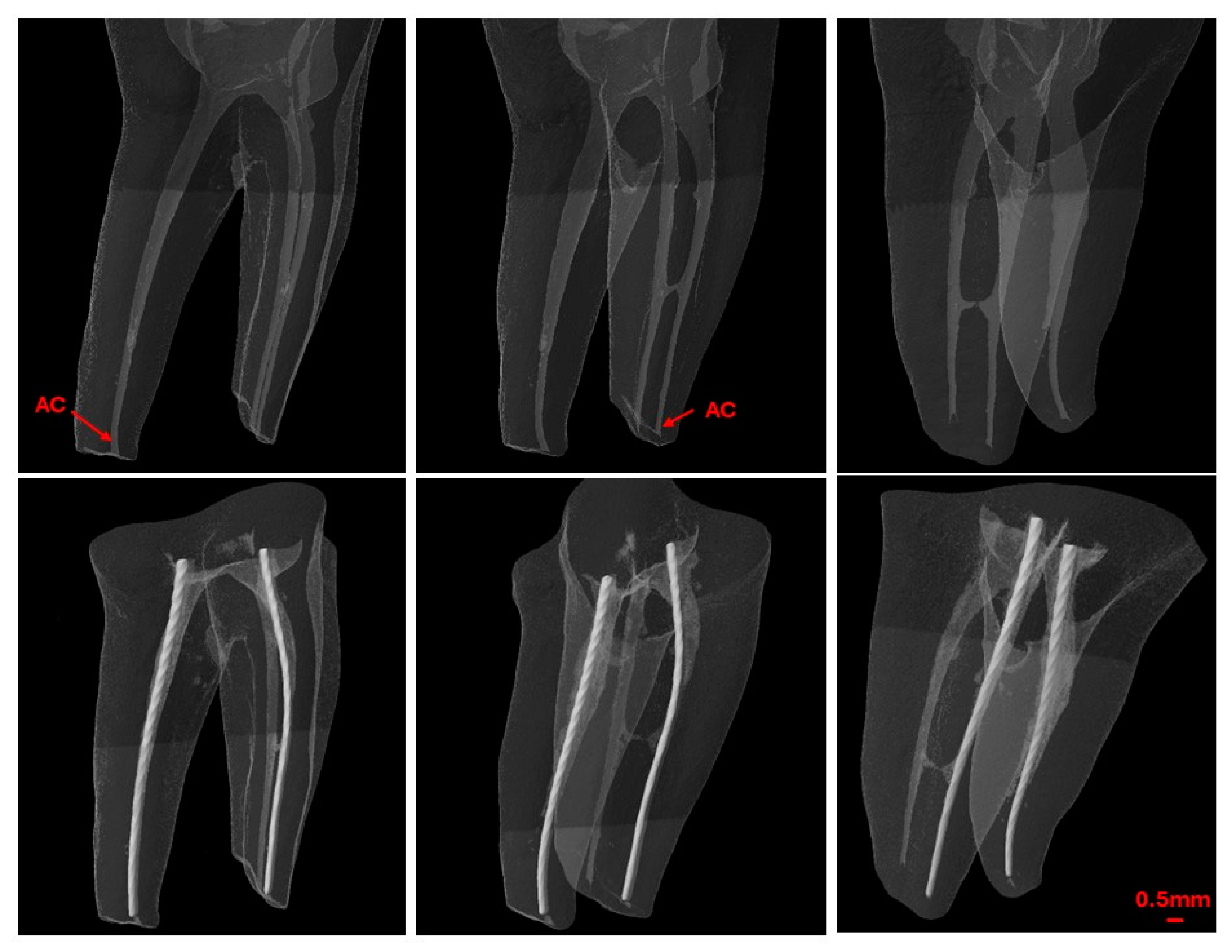 Jcm 13 05199 g004 Jcm 13 05199 g004