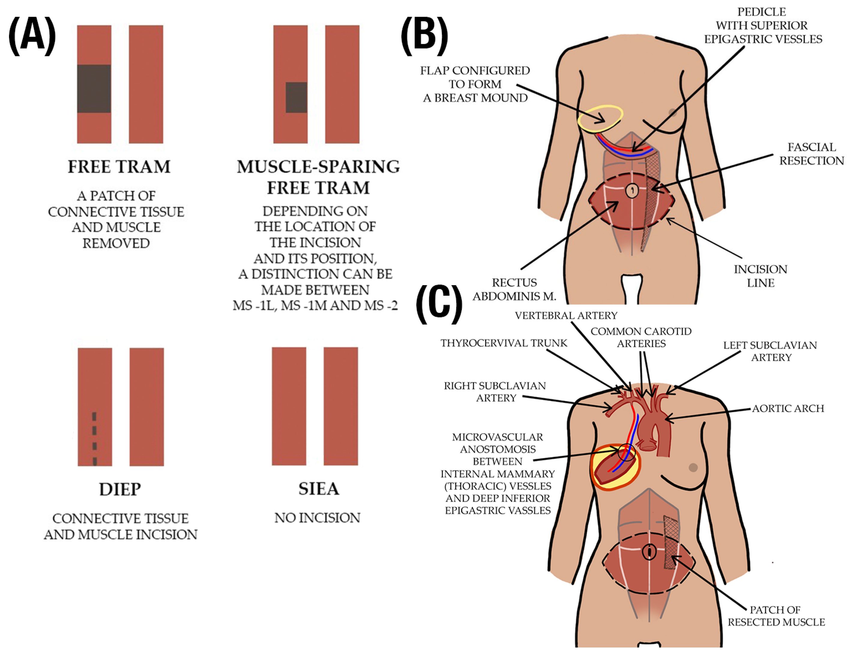Jcm 13 05467 g002 Jcm 13 05467 g002
