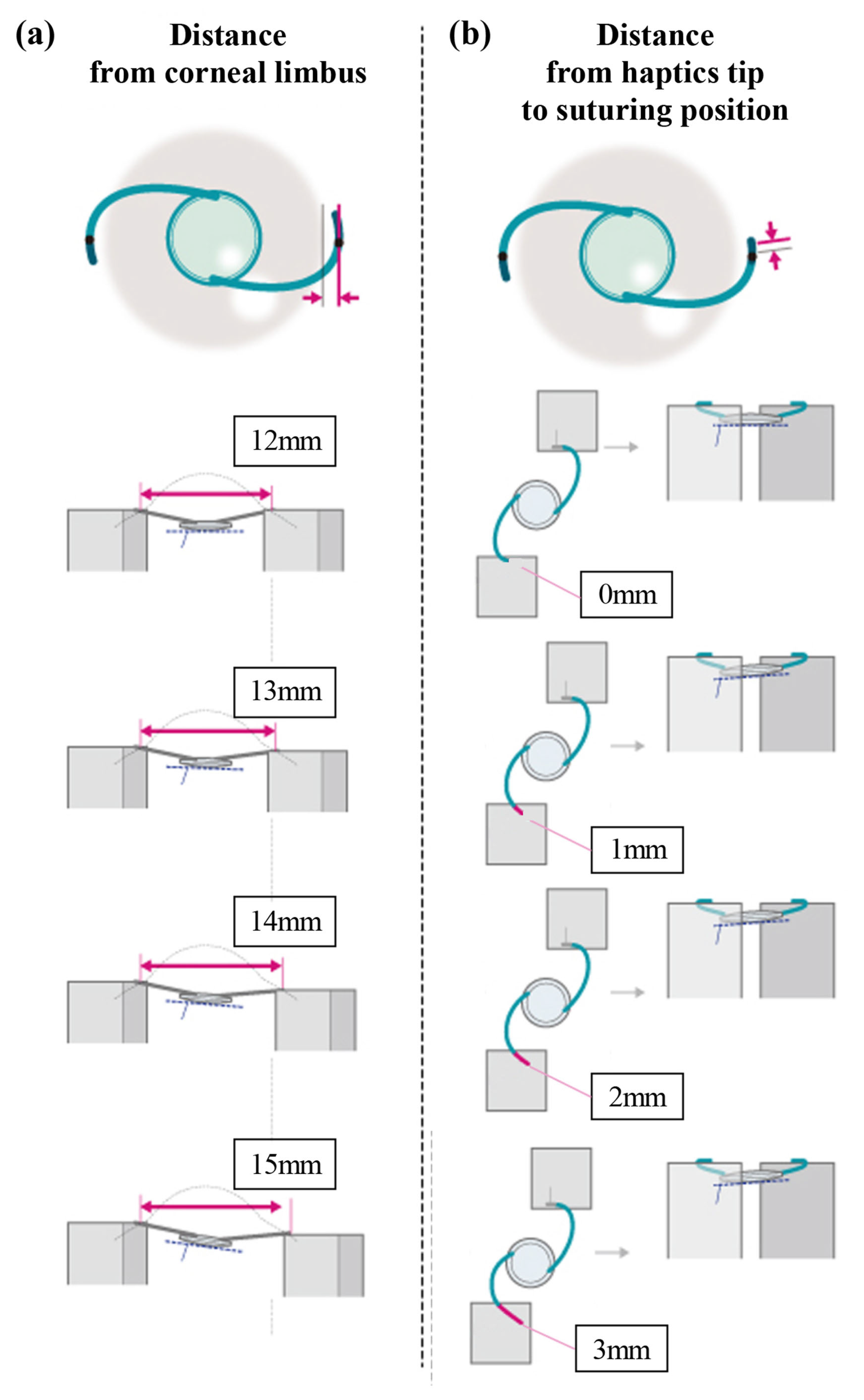Jcm 13 05522 g002 Jcm 13 05522 g002