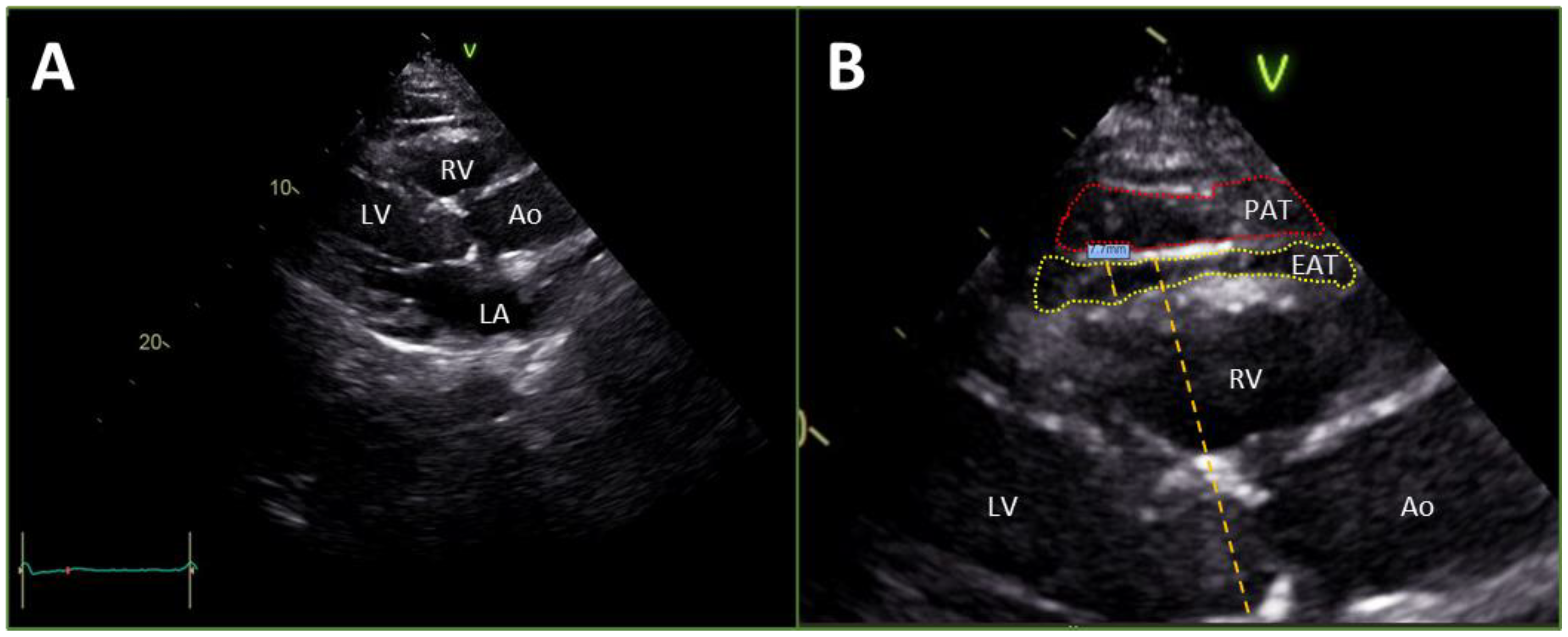 Jcm 13 05533 g001 Jcm 13 05533 g001