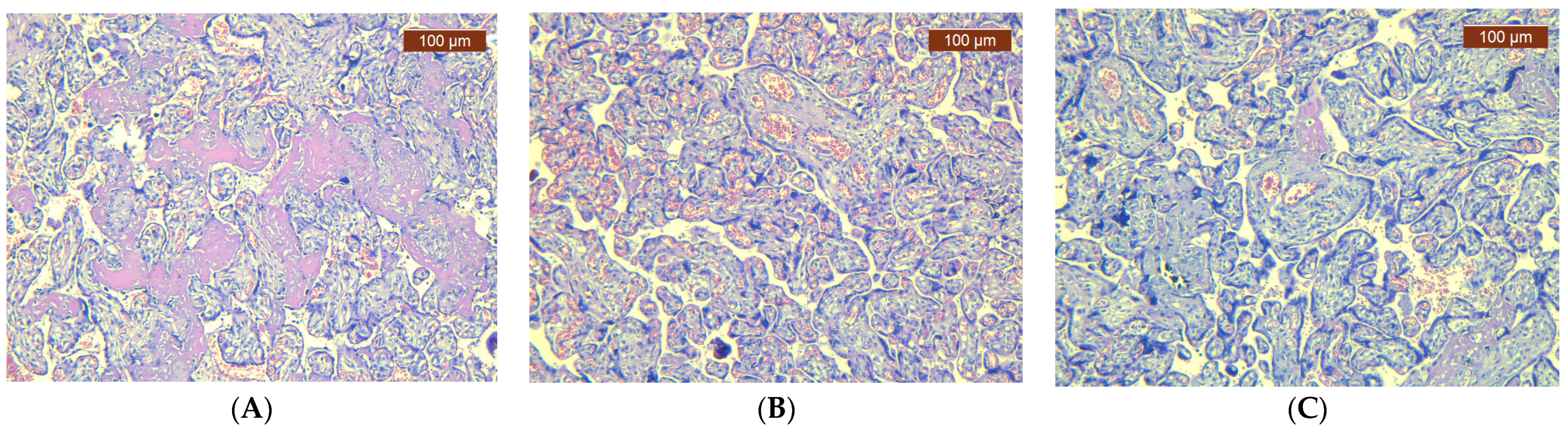 Jcm 13 05546 g002