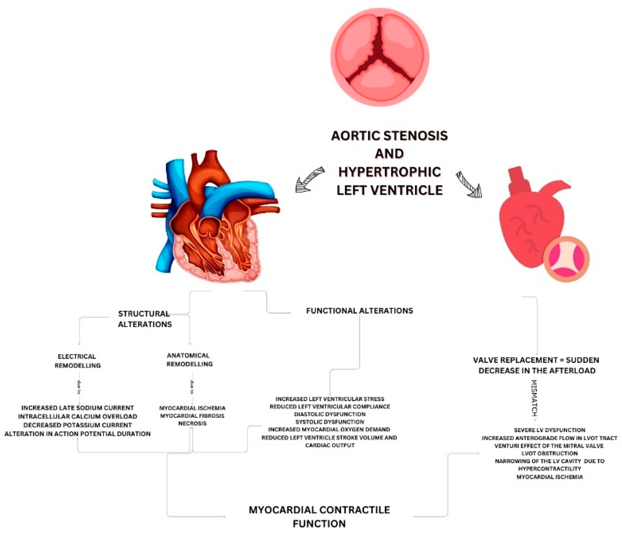 Silent Threats of the Heart: A Case Series and Narrative Review on ...